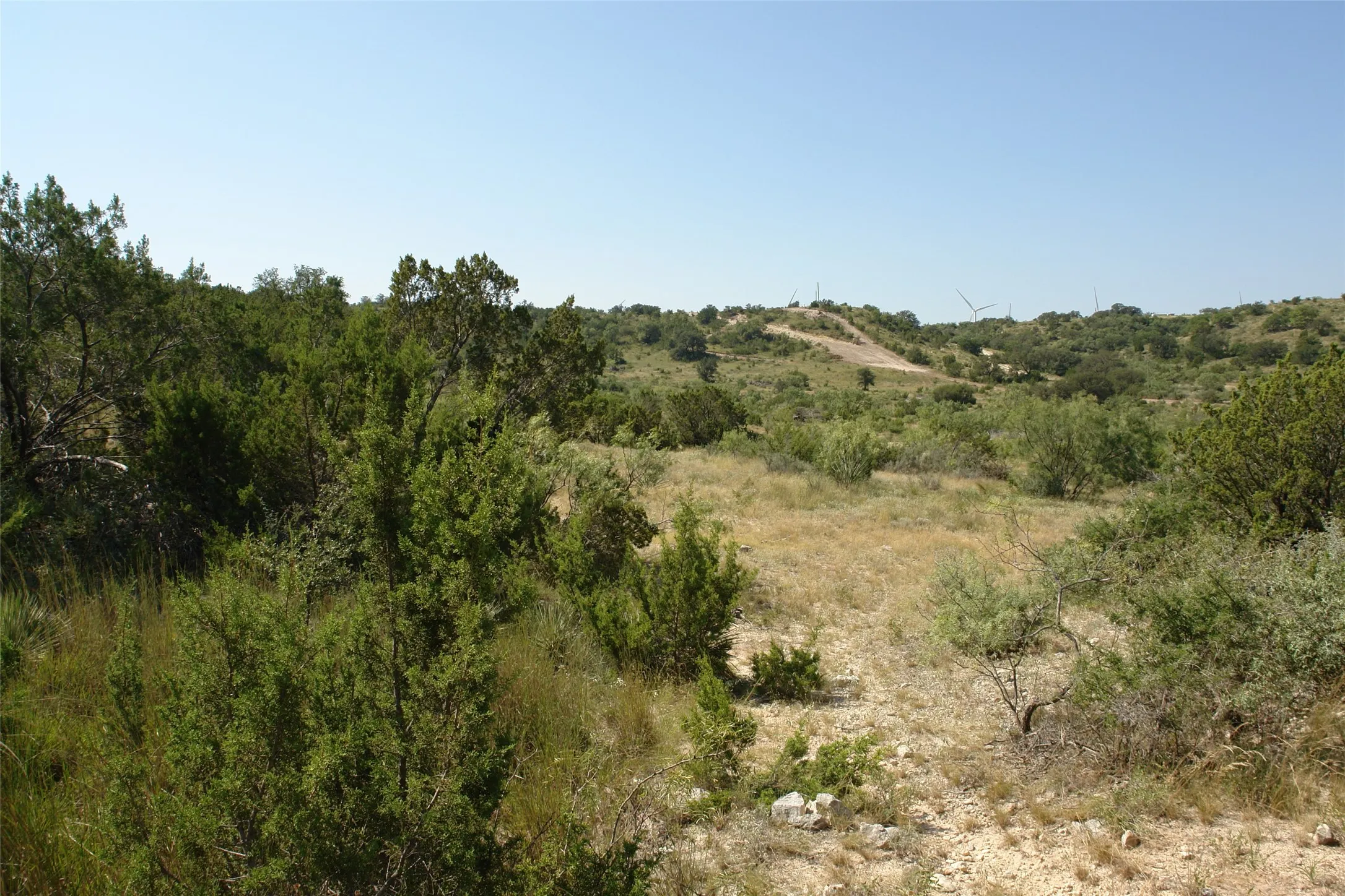 Ranch For Sale in Mc Culloch County , TBD County Road 146, Melvin, Texas 76825, 0, 0, Garage spaces, 0 Sqft, built in 0, mls#21374388, Real Estate Agent in Melvin, Homes For Sale in Mc Culloch county, Homes For Sale in Melvin, Realtor in Melvin Texas, Real Estate Brokerage Independent Realty Texas, Luminita Cordes Realtor