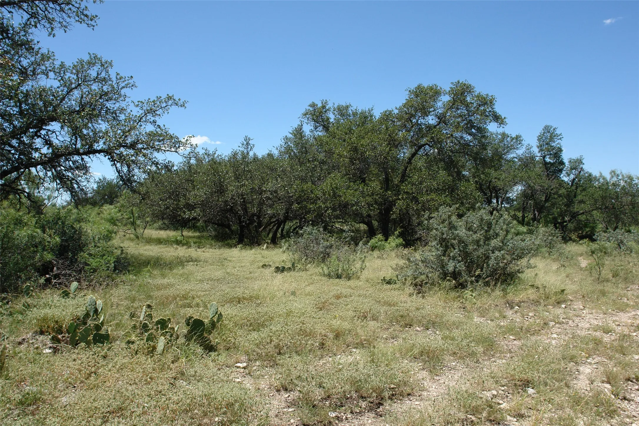 Ranch For Sale in Mc Culloch County , TBD County Road 146, Melvin, Texas 76825, 0, 0, Garage spaces, 0 Sqft, built in 0, mls#21374388, Real Estate Agent in Melvin, Homes For Sale in Mc Culloch county, Homes For Sale in Melvin, Realtor in Melvin Texas, Real Estate Brokerage Independent Realty Texas, Luminita Cordes Realtor