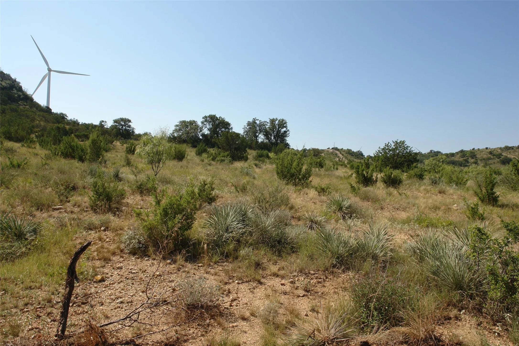 Ranch For Sale in Mc Culloch County , TBD County Road 146, Melvin, Texas 76825, 0, 0, Garage spaces, 0 Sqft, built in 0, mls#21374388, Real Estate Agent in Melvin, Homes For Sale in Mc Culloch county, Homes For Sale in Melvin, Realtor in Melvin Texas, Real Estate Brokerage Independent Realty Texas, Luminita Cordes Realtor