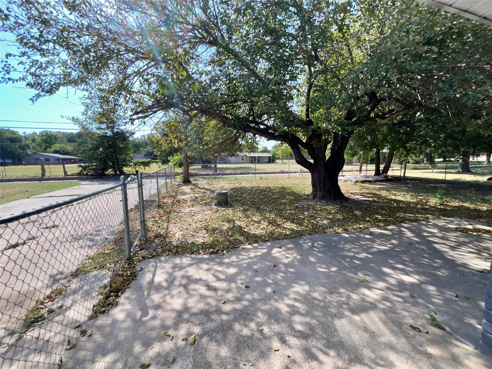 Backyard and private driveway