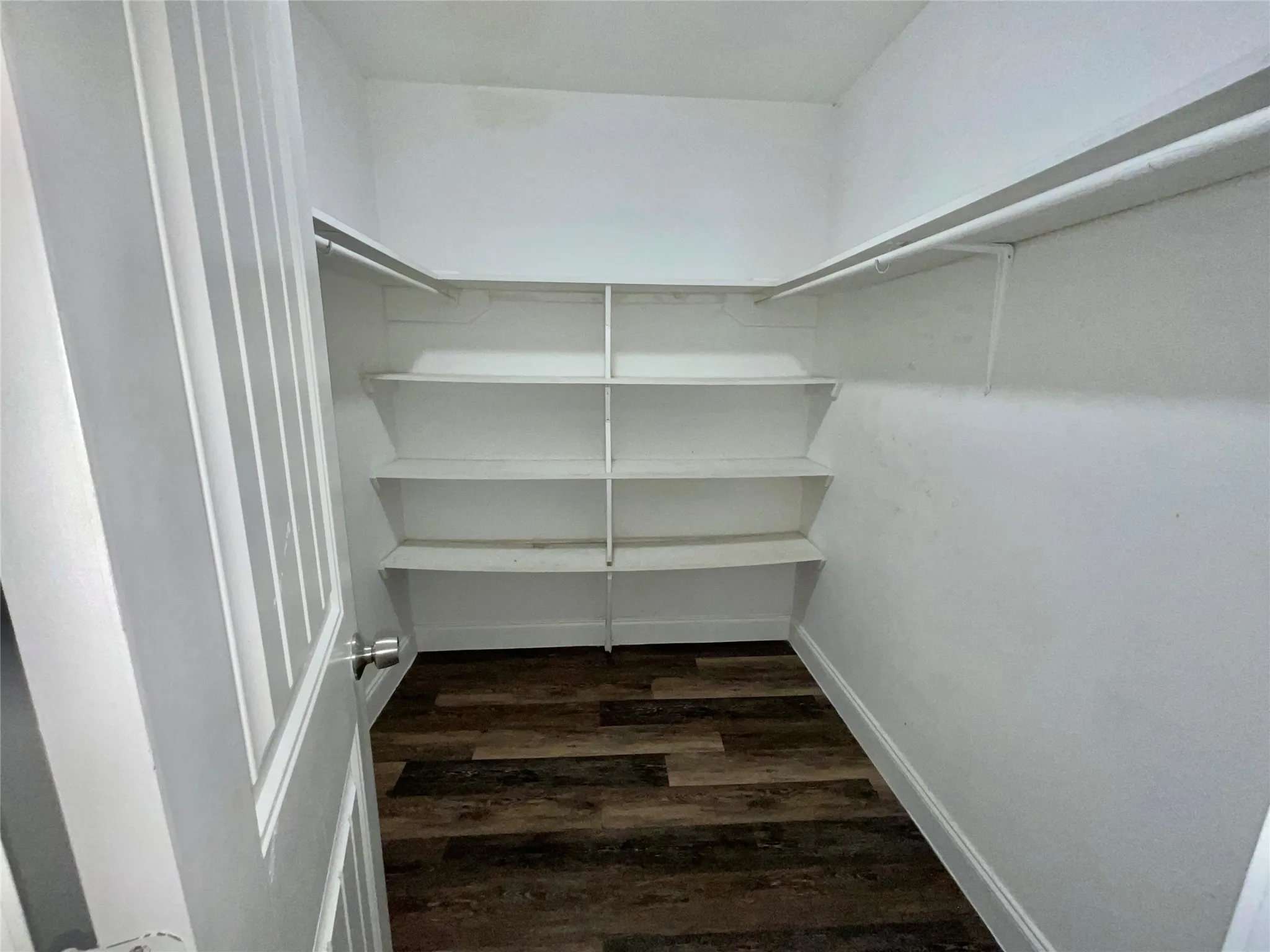     Spacious Hall Closet with Multiple Storage Possibilities
