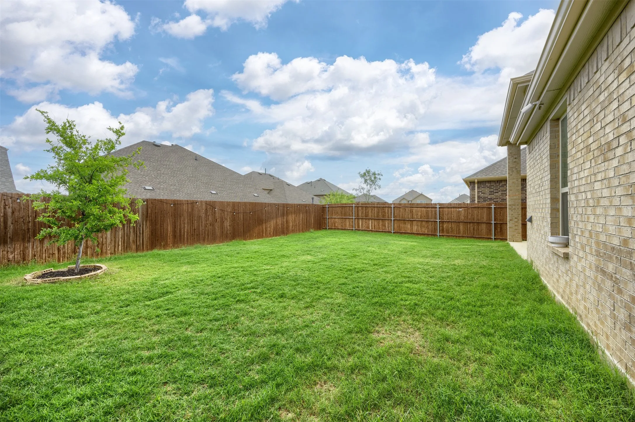 Expansive lawn area, full privacy fencing, brick exterior, and a young tree with a mulched ring