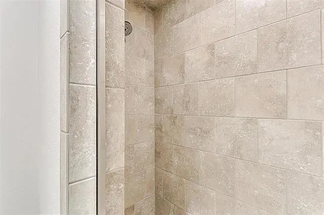 Primary Shower