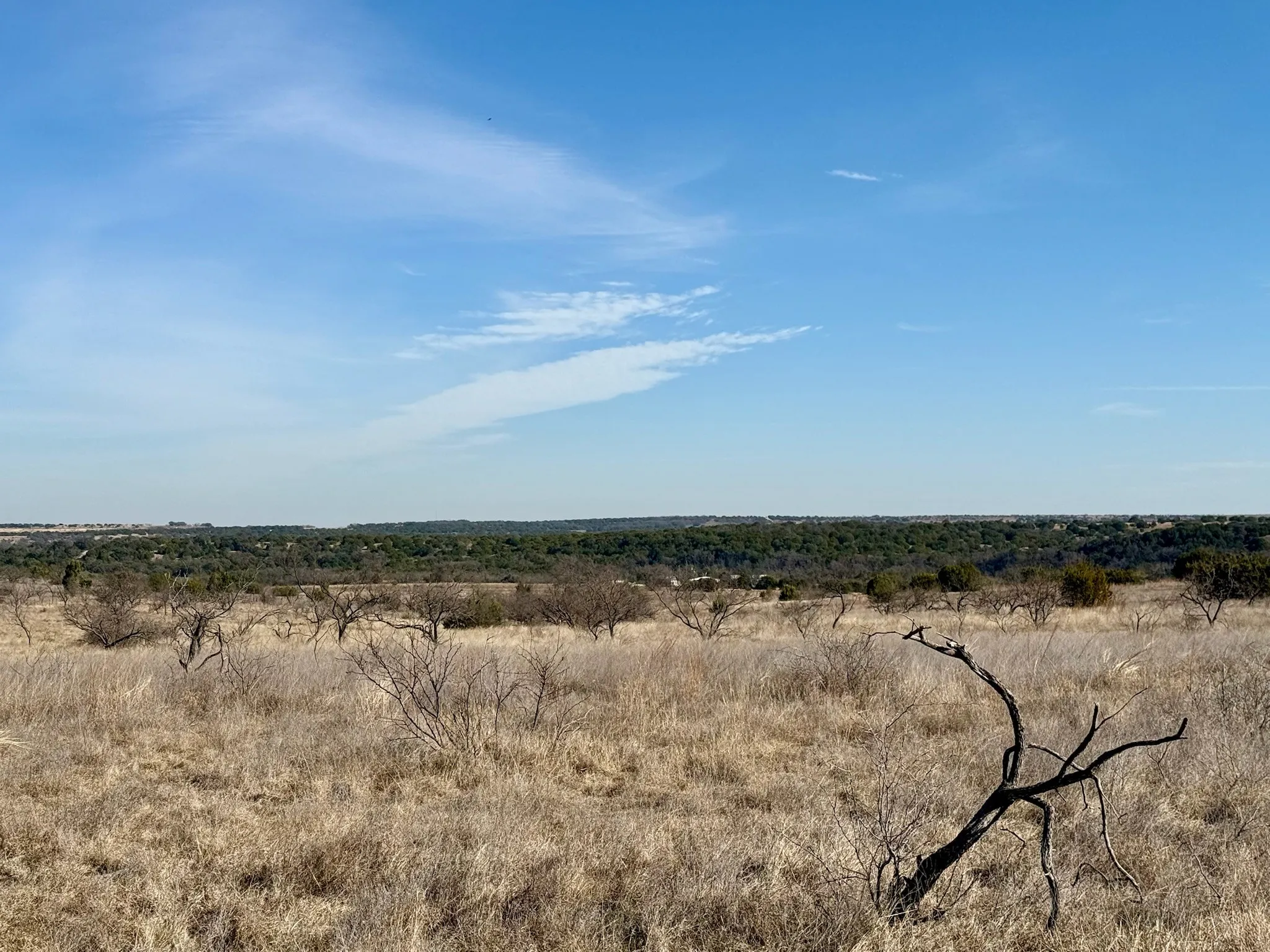 Ranch For Sale in Hamilton County , 374 Private Road 6116, Hamilton, Texas 76531, 0, 0, Garage spaces, 0 Sqft, built in 0, mls#21374006, Real Estate Agent in Hamilton, Homes For Sale in Hamilton county, Homes For Sale in Hamilton, Realtor in Hamilton Texas, Real Estate Brokerage Independent Realty Texas, Luminita Cordes Realtor