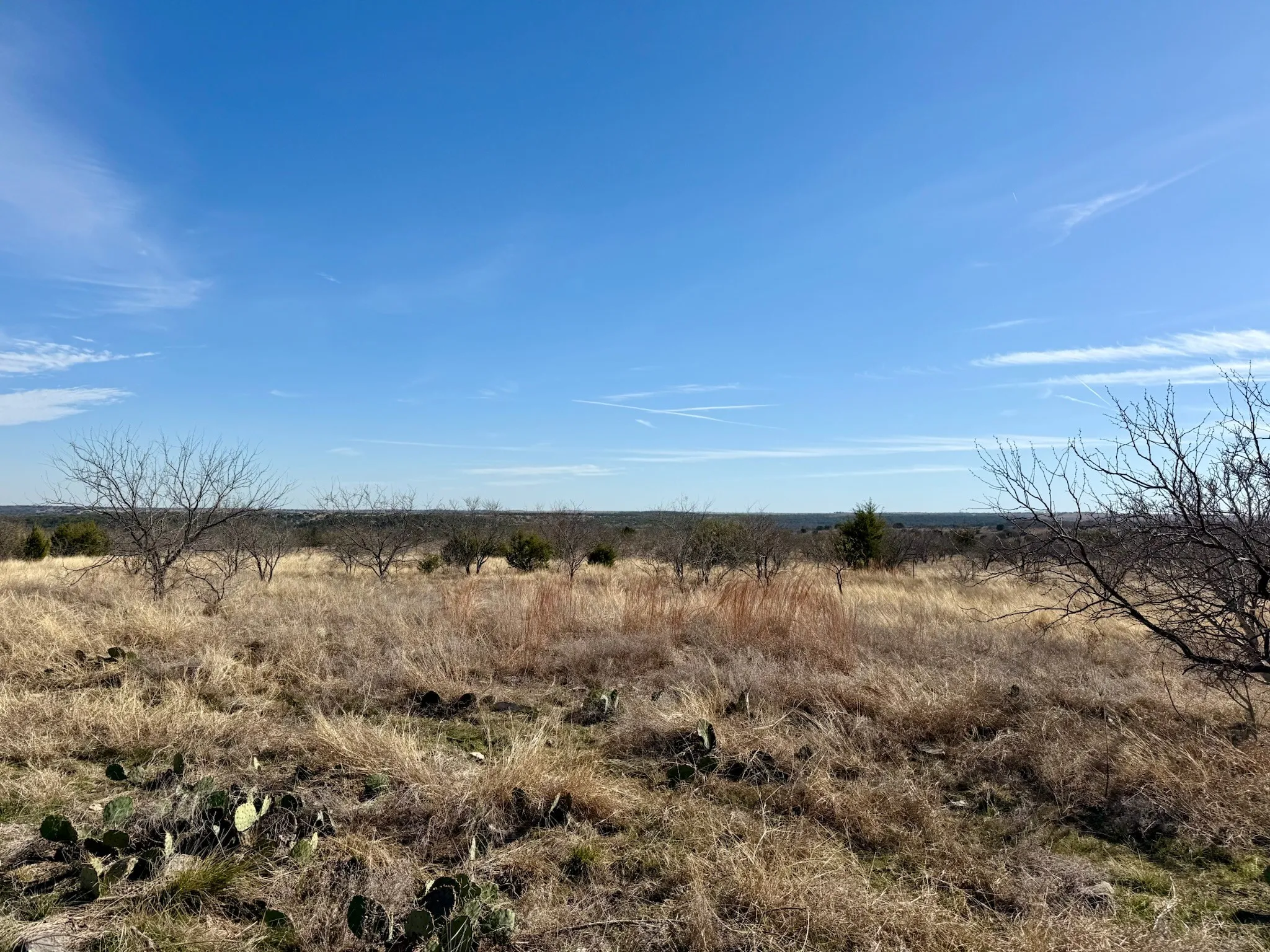 Ranch For Sale in Hamilton County , 374 Private Road 6116, Hamilton, Texas 76531, 0, 0, Garage spaces, 0 Sqft, built in 0, mls#21374006, Real Estate Agent in Hamilton, Homes For Sale in Hamilton county, Homes For Sale in Hamilton, Realtor in Hamilton Texas, Real Estate Brokerage Independent Realty Texas, Luminita Cordes Realtor