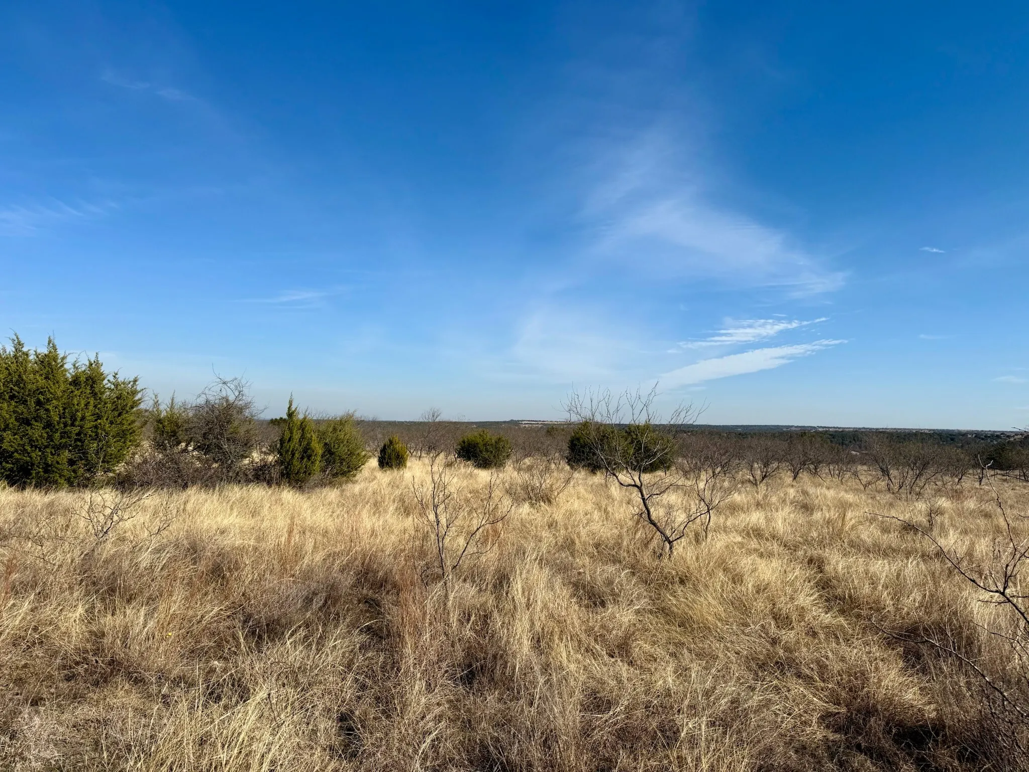 Ranch For Sale in Hamilton County , 374 Private Road 6116, Hamilton, Texas 76531, 0, 0, Garage spaces, 0 Sqft, built in 0, mls#21374006, Real Estate Agent in Hamilton, Homes For Sale in Hamilton county, Homes For Sale in Hamilton, Realtor in Hamilton Texas, Real Estate Brokerage Independent Realty Texas, Luminita Cordes Realtor