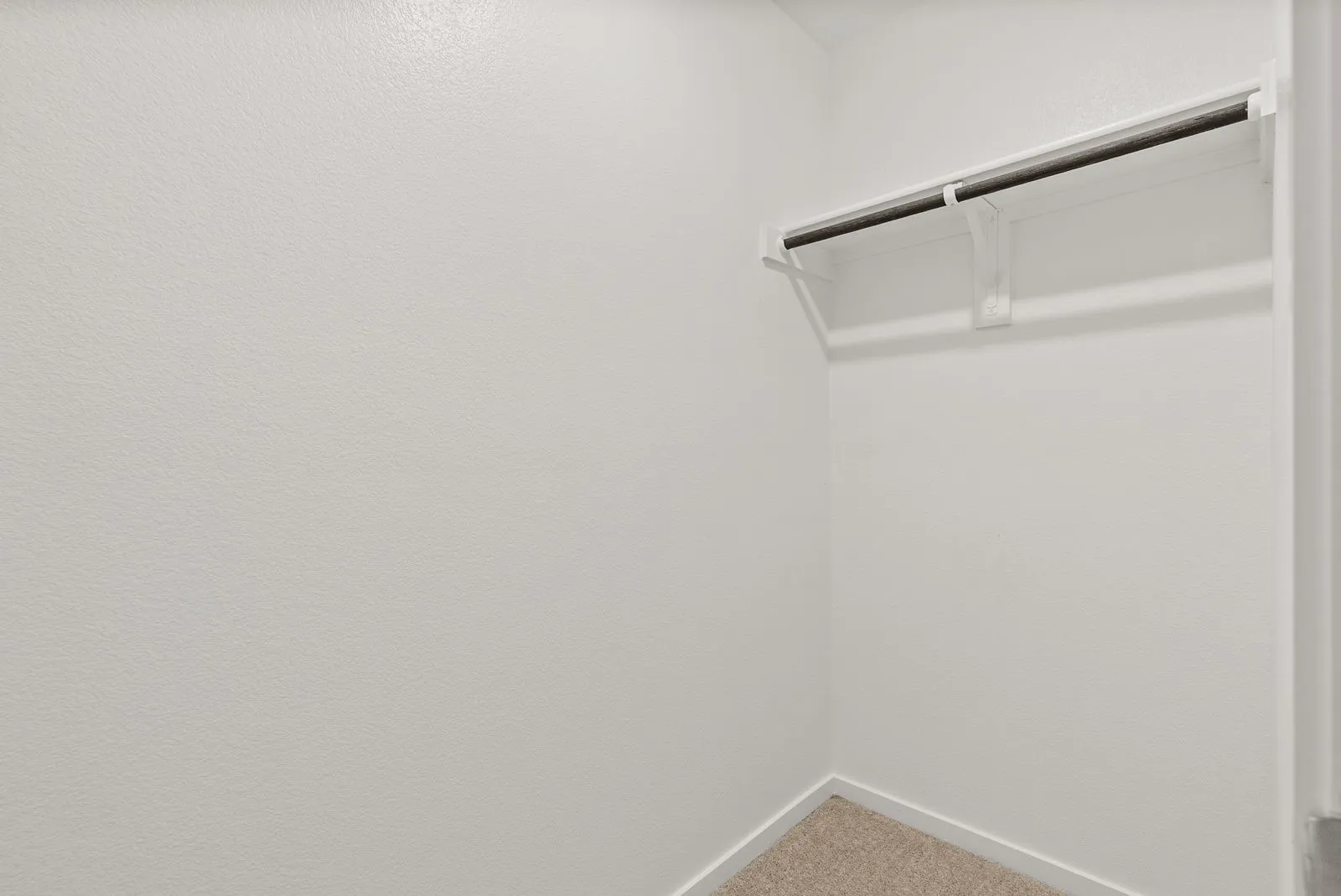 Built-in clothing rod with shelf, white wall finish, and carpeted flooring