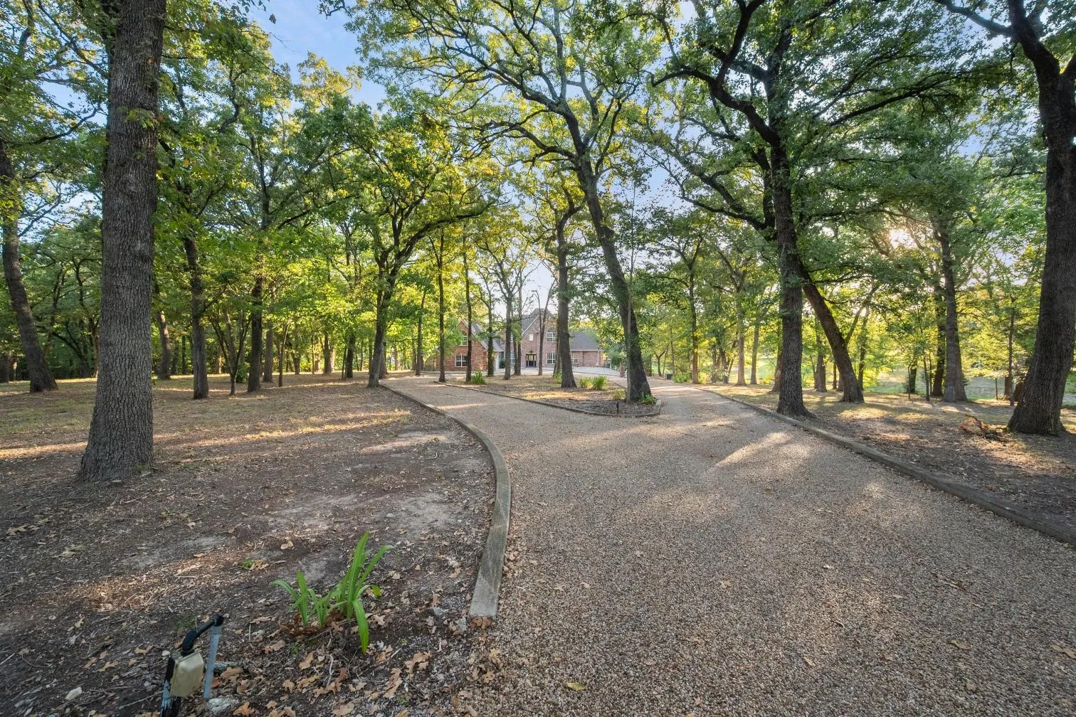Tree lined path to your waterfront oasis