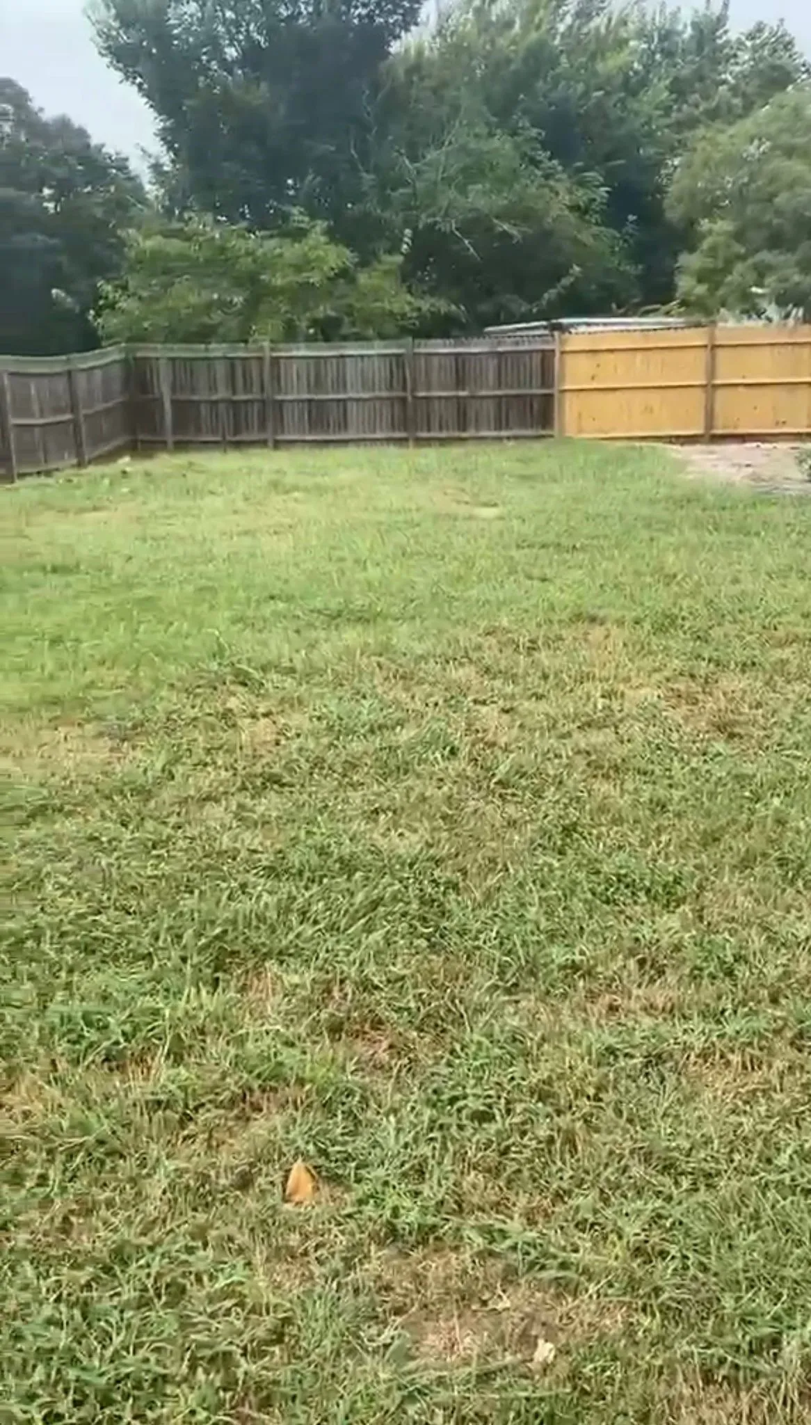 Unimproved Land For Sale in Denton County , 6546 Ridgecrest Lane, Argyle, Texas 76226, 0, 0, Garage spaces, 0 Sqft, built in 0, mls#21374498, Real Estate Agent in Argyle, Homes For Sale in Denton county, Homes For Sale in Argyle, Realtor in Argyle Texas, Real Estate Brokerage Independent Realty Texas, Luminita Cordes Realtor