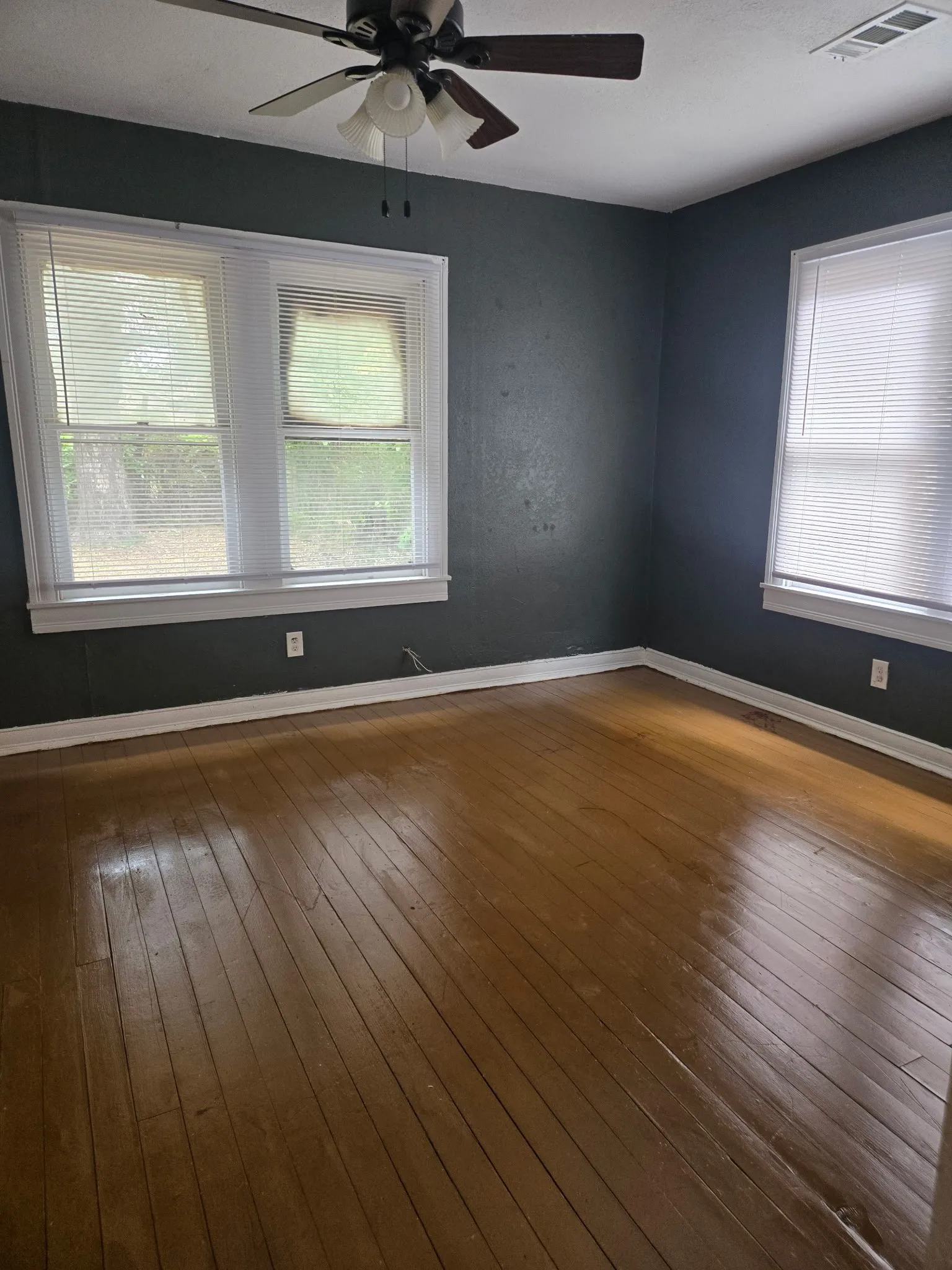 Wood-finish flooring with white trim, multiple windows with blinds, and a ceiling fan with light fixture