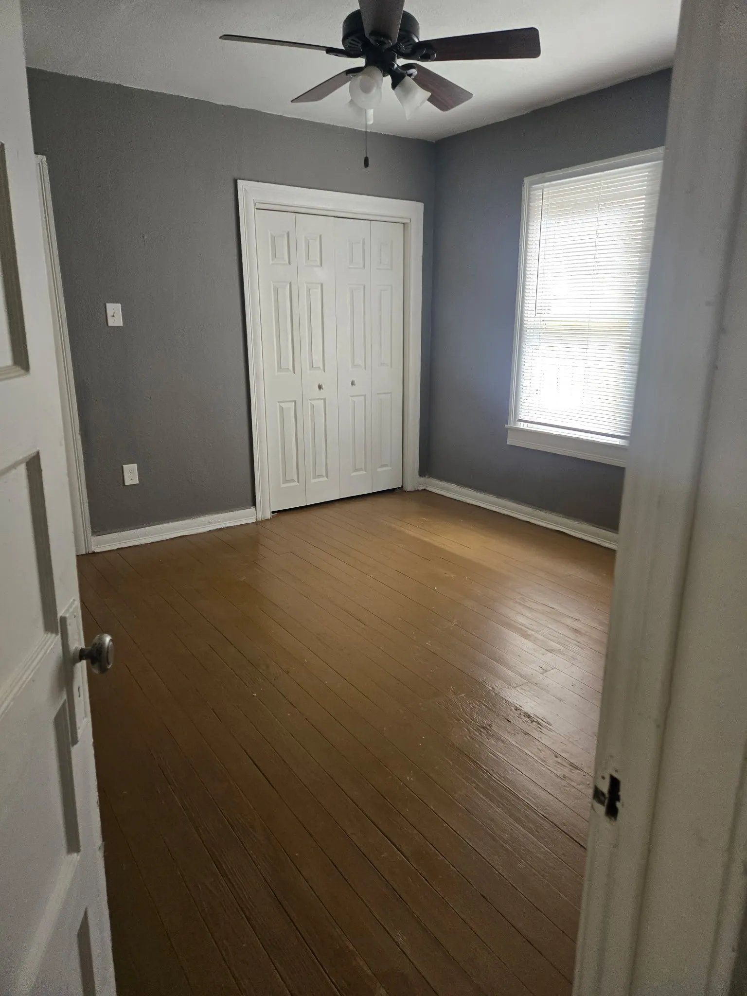 Wood-finish flooring, ceiling fan with integrated lighting, window with horizontal blinds, and bi-fold closet doors