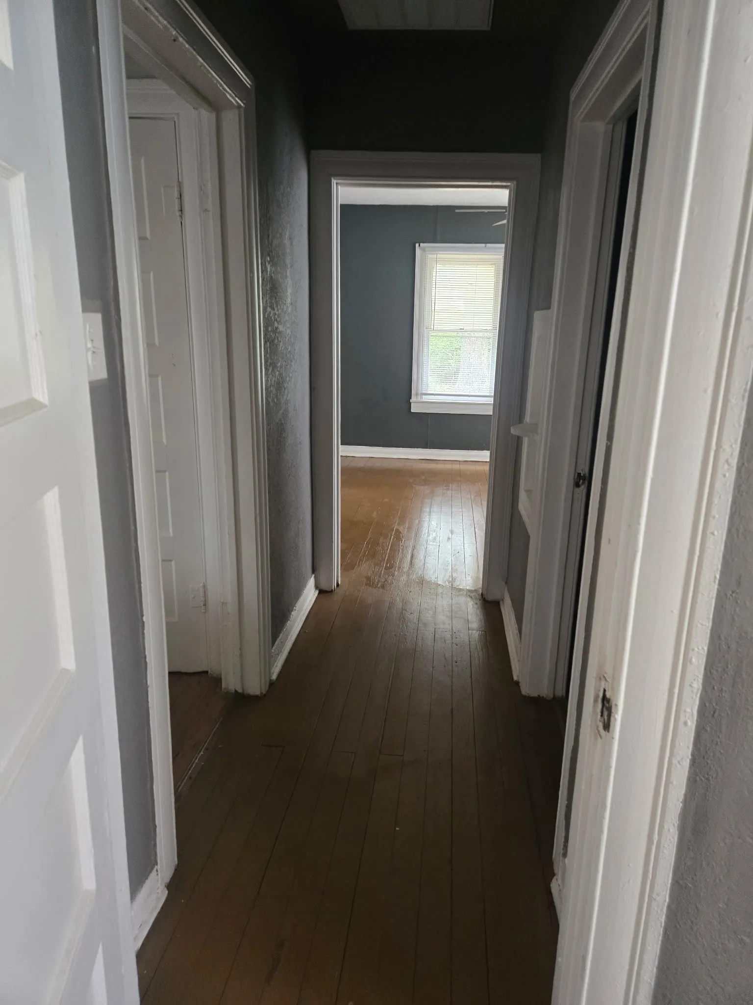 Interior hallway with wood-finish flooring, white paneled doors, and dark wall finishes