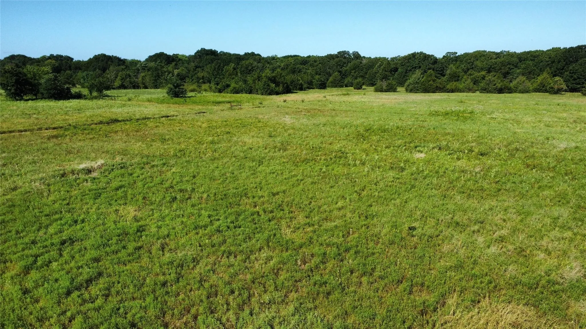 Improved Land For Sale in Fannin County , 1979 CR 1135, Ravenna, Texas 75476, 0, 0, Garage spaces, 0 Sqft, built in 0, mls#21356943, Real Estate Agent in Ravenna, Homes For Sale in Fannin county, Homes For Sale in Ravenna, Realtor in Ravenna Texas, Real Estate Brokerage Independent Realty Texas, Luminita Cordes Realtor