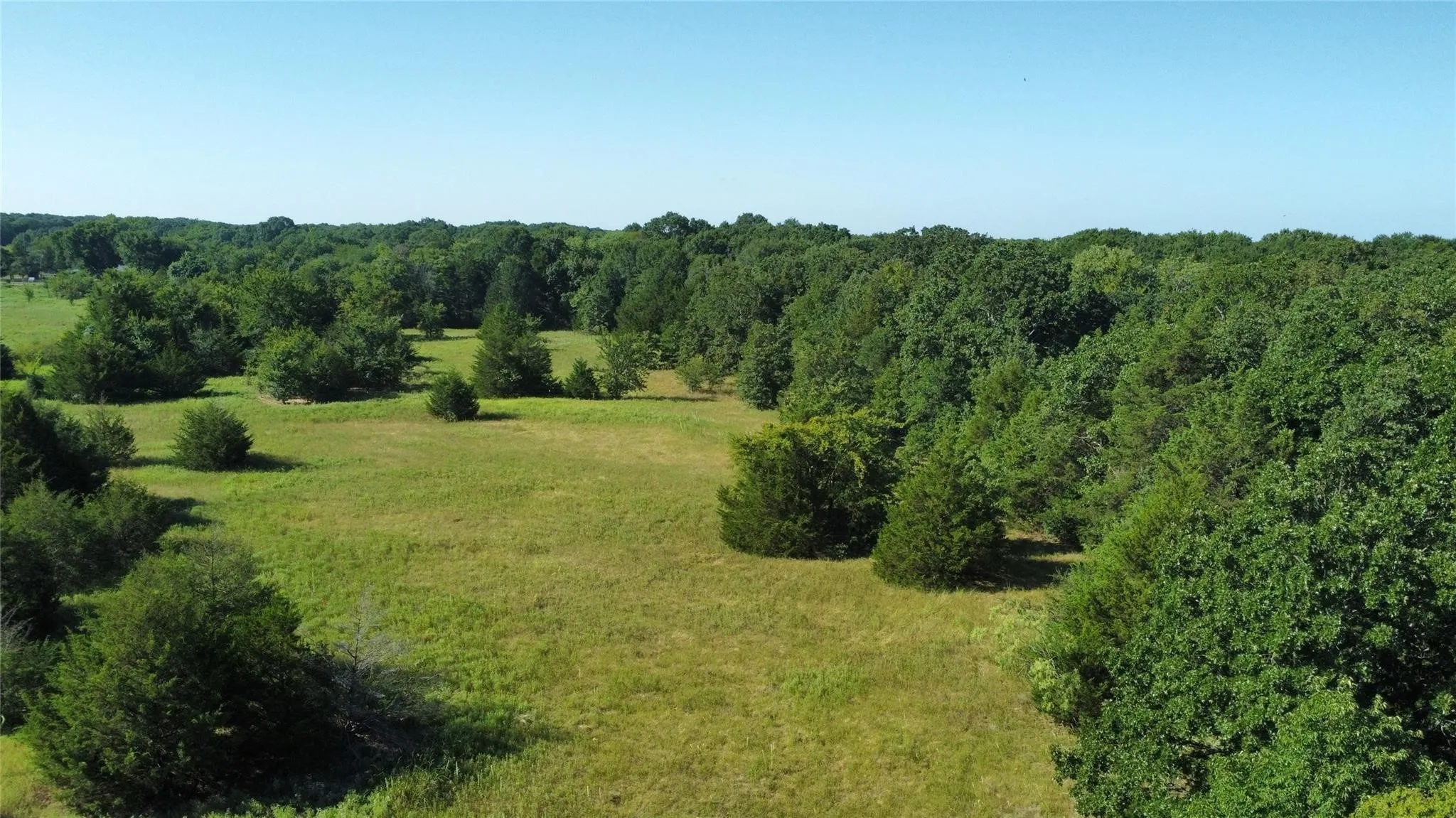 Improved Land For Sale in Fannin County , 1979 CR 1135, Ravenna, Texas 75476, 0, 0, Garage spaces, 0 Sqft, built in 0, mls#21356943, Real Estate Agent in Ravenna, Homes For Sale in Fannin county, Homes For Sale in Ravenna, Realtor in Ravenna Texas, Real Estate Brokerage Independent Realty Texas, Luminita Cordes Realtor