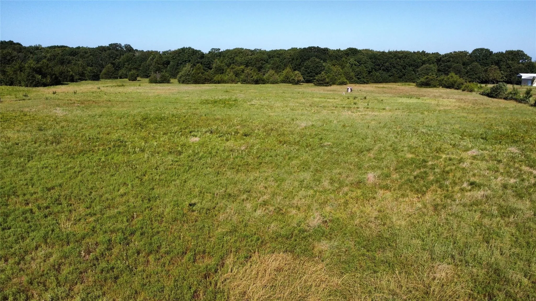 Improved Land For Sale in Fannin County , 1979 CR 1135, Ravenna, Texas 75476, 0, 0, Garage spaces, 0 Sqft, built in 0, mls#21356943, Real Estate Agent in Ravenna, Homes For Sale in Fannin county, Homes For Sale in Ravenna, Realtor in Ravenna Texas, Real Estate Brokerage Independent Realty Texas, Luminita Cordes Realtor