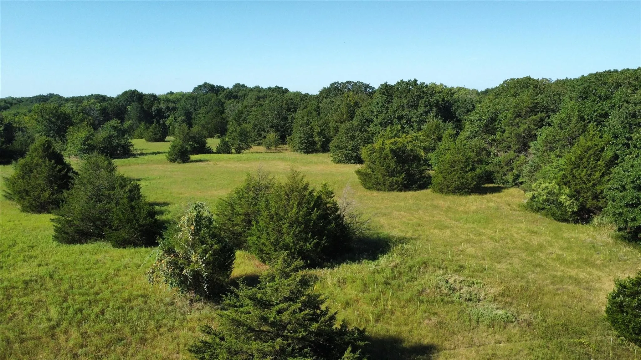 Improved Land For Sale in Fannin County , 1979 CR 1135, Ravenna, Texas 75476, 0, 0, Garage spaces, 0 Sqft, built in 0, mls#21356943, Real Estate Agent in Ravenna, Homes For Sale in Fannin county, Homes For Sale in Ravenna, Realtor in Ravenna Texas, Real Estate Brokerage Independent Realty Texas, Luminita Cordes Realtor