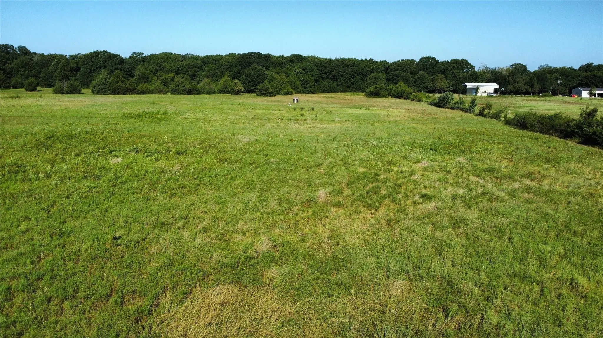 Improved Land For Sale in Fannin County , 1979 CR 1135, Ravenna, Texas 75476, 0, 0, Garage spaces, 0 Sqft, built in 0, mls#21356943, Real Estate Agent in Ravenna, Homes For Sale in Fannin county, Homes For Sale in Ravenna, Realtor in Ravenna Texas, Real Estate Brokerage Independent Realty Texas, Luminita Cordes Realtor