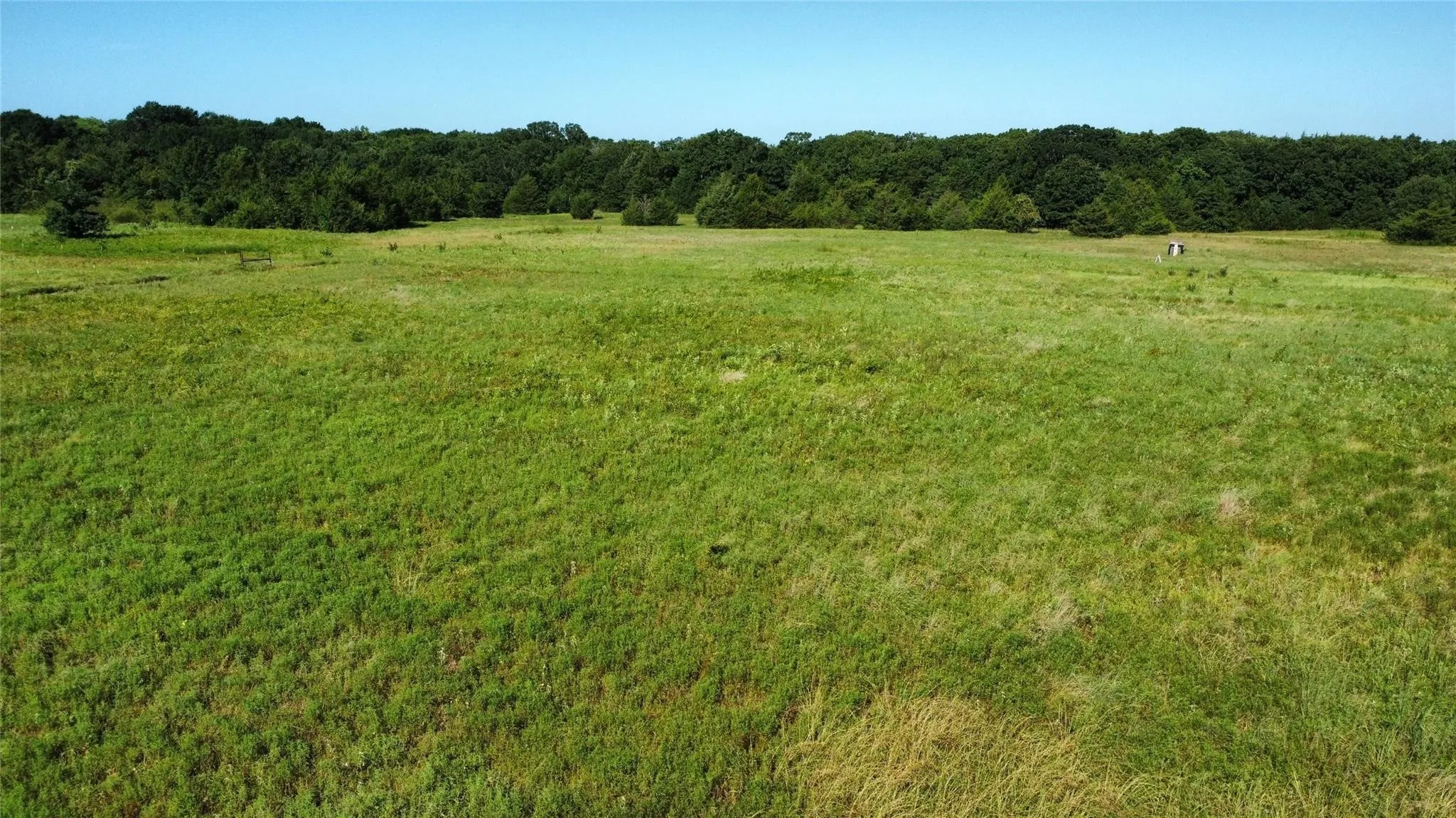 Improved Land For Sale in Fannin County , 1979 CR 1135, Ravenna, Texas 75476, 0, 0, Garage spaces, 0 Sqft, built in 0, mls#21356943, Real Estate Agent in Ravenna, Homes For Sale in Fannin county, Homes For Sale in Ravenna, Realtor in Ravenna Texas, Real Estate Brokerage Independent Realty Texas, Luminita Cordes Realtor