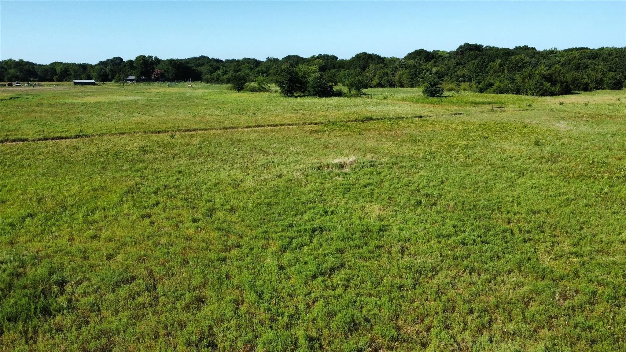Improved Land For Sale in Fannin County , 1979 CR 1135, Ravenna, Texas 75476, 0, 0, Garage spaces, 0 Sqft, built in 0, mls#21356943, Real Estate Agent in Ravenna, Homes For Sale in Fannin county, Homes For Sale in Ravenna, Realtor in Ravenna Texas, Real Estate Brokerage Independent Realty Texas, Luminita Cordes Realtor