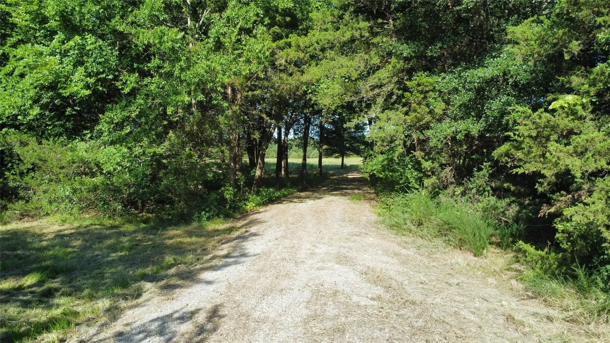 Entry from the Road