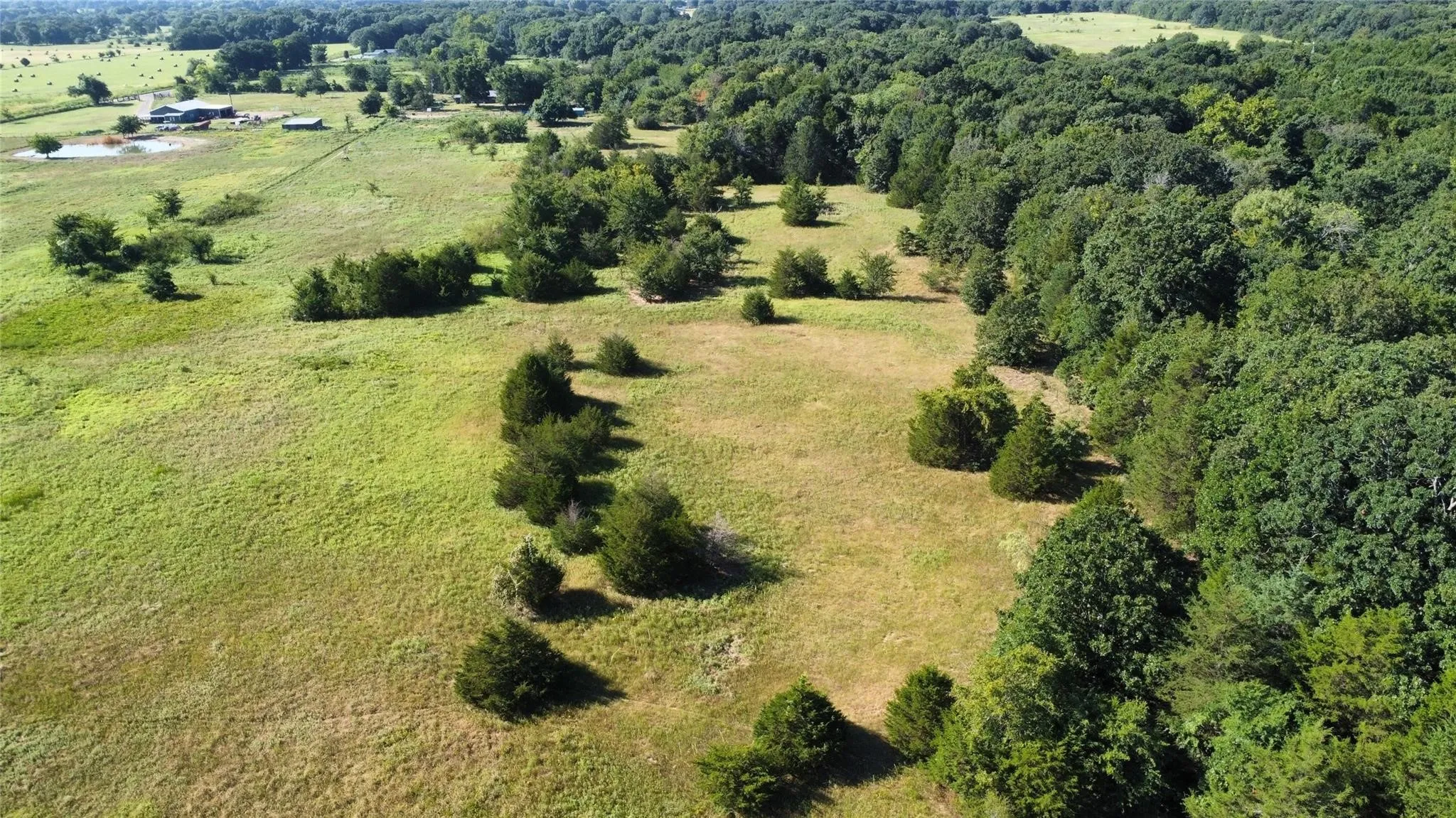 Improved Land For Sale in Fannin County , 1979 CR 1135, Ravenna, Texas 75476, 0, 0, Garage spaces, 0 Sqft, built in 0, mls#21356943, Real Estate Agent in Ravenna, Homes For Sale in Fannin county, Homes For Sale in Ravenna, Realtor in Ravenna Texas, Real Estate Brokerage Independent Realty Texas, Luminita Cordes Realtor