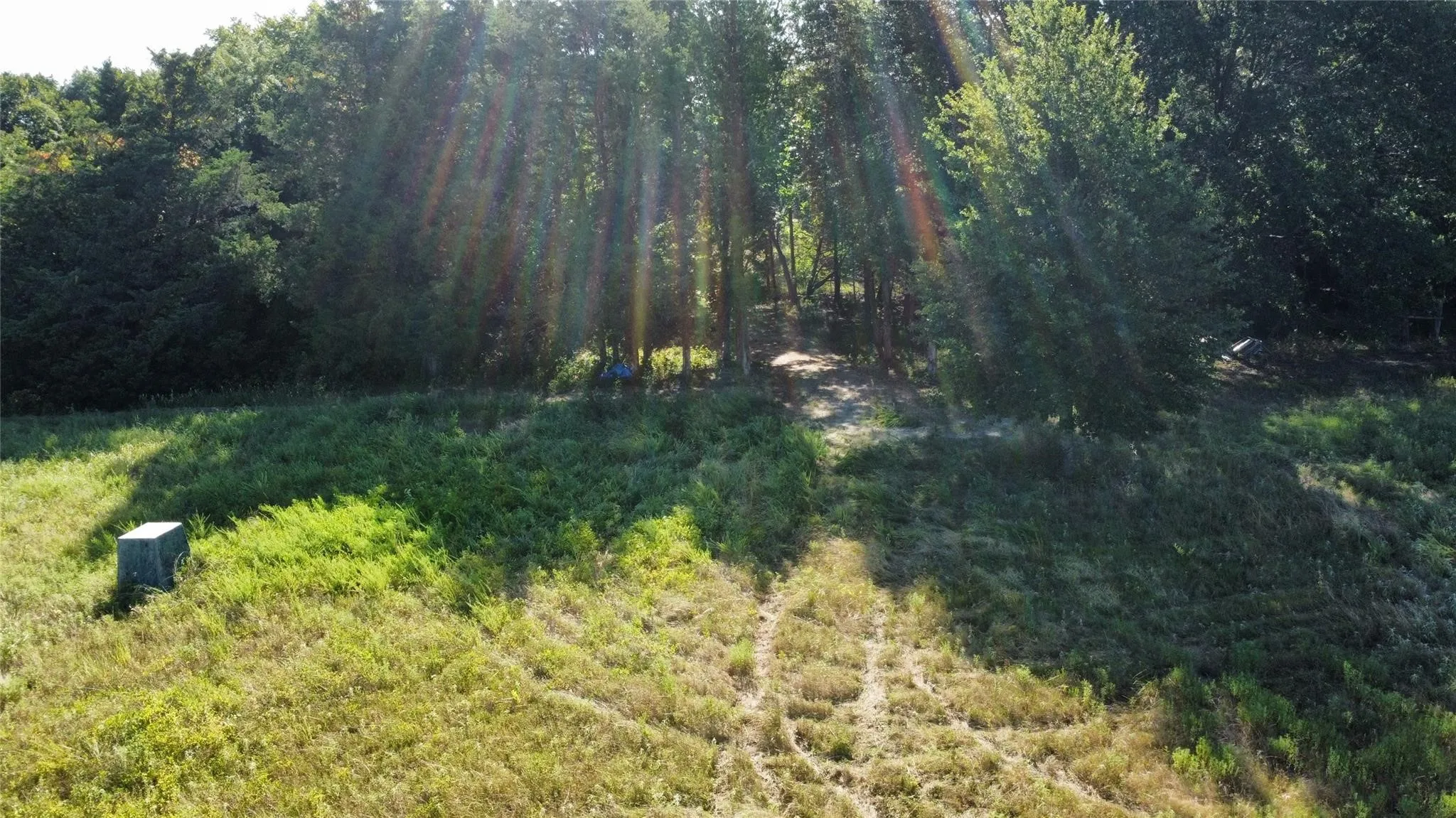 Improved Land For Sale in Fannin County , 1979 CR 1135, Ravenna, Texas 75476, 0, 0, Garage spaces, 0 Sqft, built in 0, mls#21356943, Real Estate Agent in Ravenna, Homes For Sale in Fannin county, Homes For Sale in Ravenna, Realtor in Ravenna Texas, Real Estate Brokerage Independent Realty Texas, Luminita Cordes Realtor