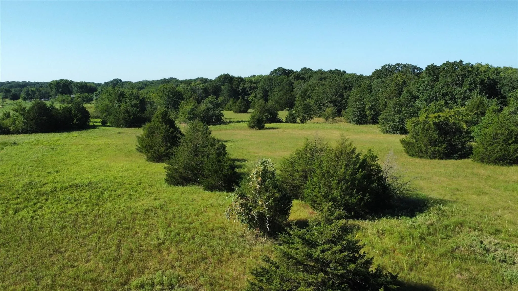 Improved Land For Sale in Fannin County , 1979 CR 1135, Ravenna, Texas 75476, 0, 0, Garage spaces, 0 Sqft, built in 0, mls#21356943, Real Estate Agent in Ravenna, Homes For Sale in Fannin county, Homes For Sale in Ravenna, Realtor in Ravenna Texas, Real Estate Brokerage Independent Realty Texas, Luminita Cordes Realtor