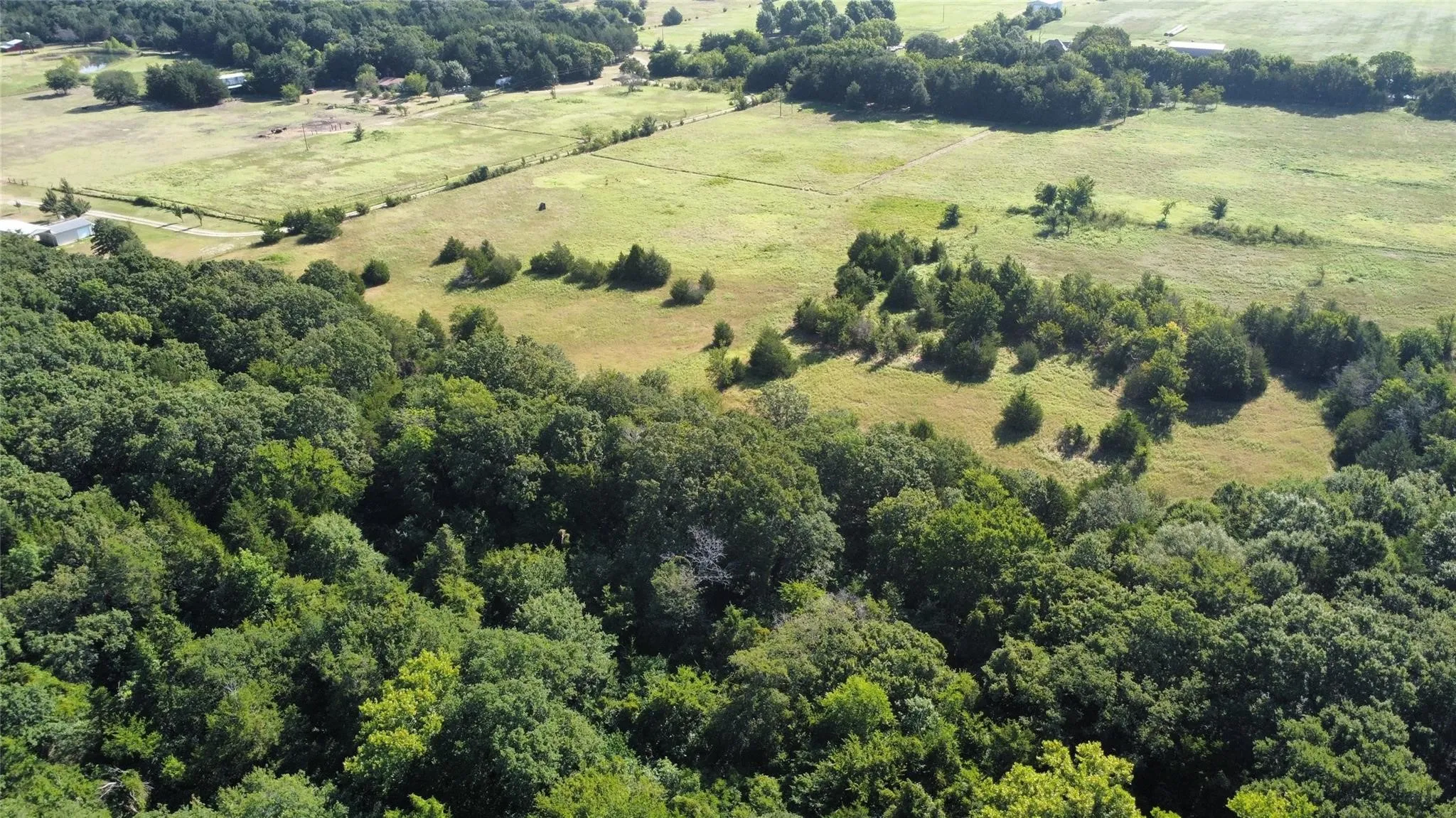 Improved Land For Sale in Fannin County , 1979 CR 1135, Ravenna, Texas 75476, 0, 0, Garage spaces, 0 Sqft, built in 0, mls#21356943, Real Estate Agent in Ravenna, Homes For Sale in Fannin county, Homes For Sale in Ravenna, Realtor in Ravenna Texas, Real Estate Brokerage Independent Realty Texas, Luminita Cordes Realtor