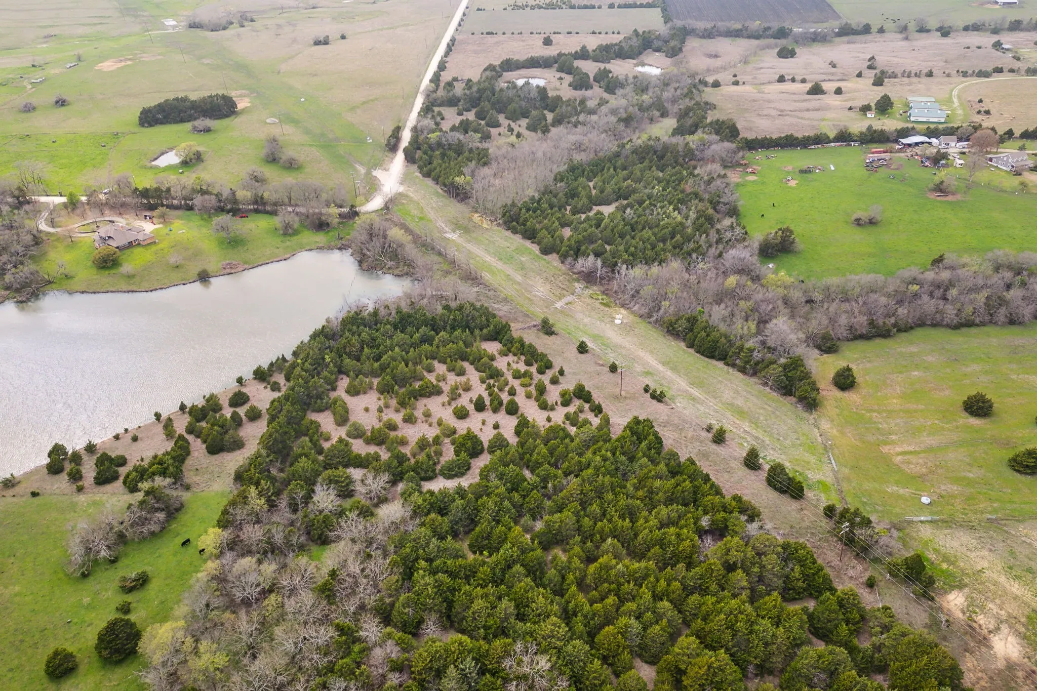 Unimproved Land For Sale in Collin County , 25 acres County Road 672, Blue Ridge, Texas 75424, 0, 0, Garage spaces, 0 Sqft, built in 0, mls#21374548, Real Estate Agent in Blue Ridge, Homes For Sale in Collin county, Homes For Sale in Blue Ridge, Realtor in Blue Ridge Texas, Real Estate Brokerage Independent Realty Texas, Luminita Cordes Realtor