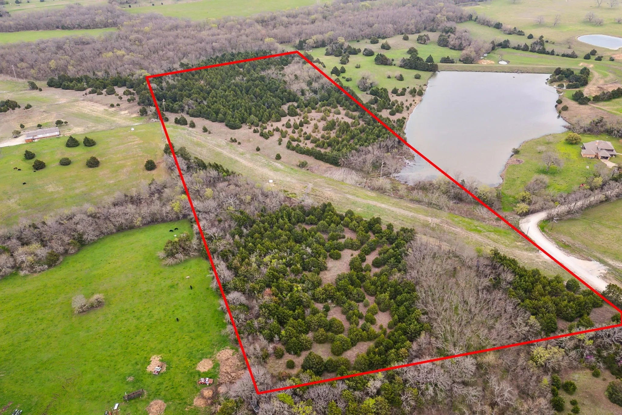 Unimproved Land For Sale in Collin County , 25 acres County Road 672, Blue Ridge, Texas 75424, 0, 0, Garage spaces, 0 Sqft, built in 0, mls#21374548, Real Estate Agent in Blue Ridge, Homes For Sale in Collin county, Homes For Sale in Blue Ridge, Realtor in Blue Ridge Texas, Real Estate Brokerage Independent Realty Texas, Luminita Cordes Realtor