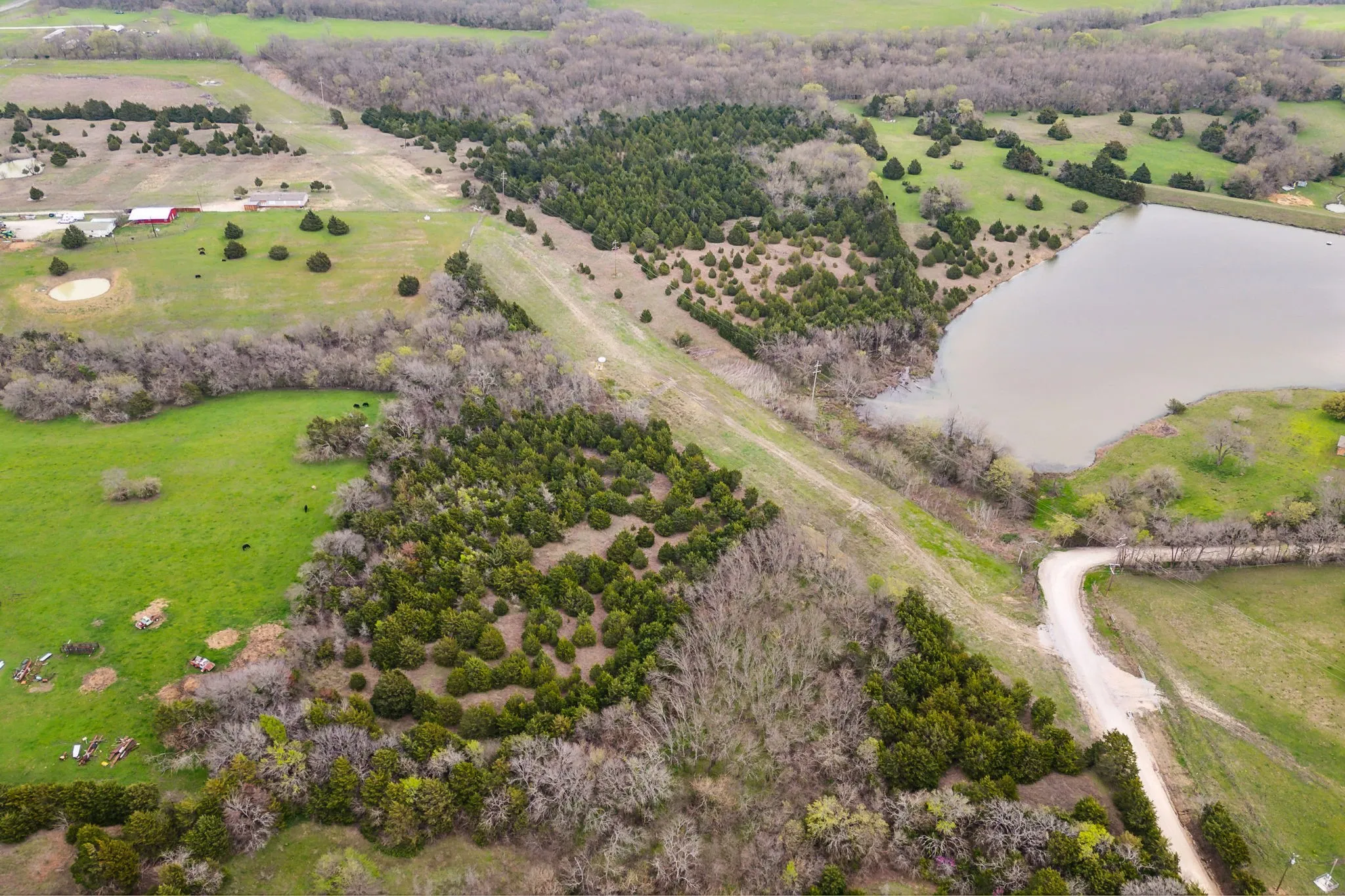 Unimproved Land For Sale in Collin County , 25 acres County Road 672, Blue Ridge, Texas 75424, 0, 0, Garage spaces, 0 Sqft, built in 0, mls#21374548, Real Estate Agent in Blue Ridge, Homes For Sale in Collin county, Homes For Sale in Blue Ridge, Realtor in Blue Ridge Texas, Real Estate Brokerage Independent Realty Texas, Luminita Cordes Realtor