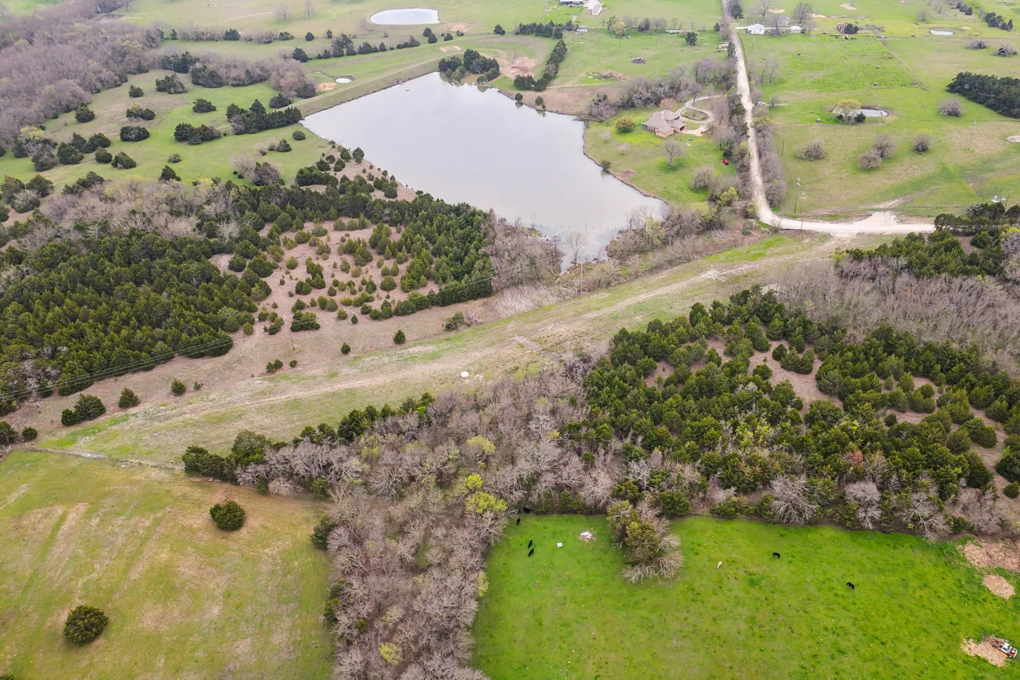 Unimproved Land For Sale in Collin County , 25 acres County Road 672, Blue Ridge, Texas 75424, 0, 0, Garage spaces, 0 Sqft, built in 0, mls#21374548, Real Estate Agent in Blue Ridge, Homes For Sale in Collin county, Homes For Sale in Blue Ridge, Realtor in Blue Ridge Texas, Real Estate Brokerage Independent Realty Texas, Luminita Cordes Realtor