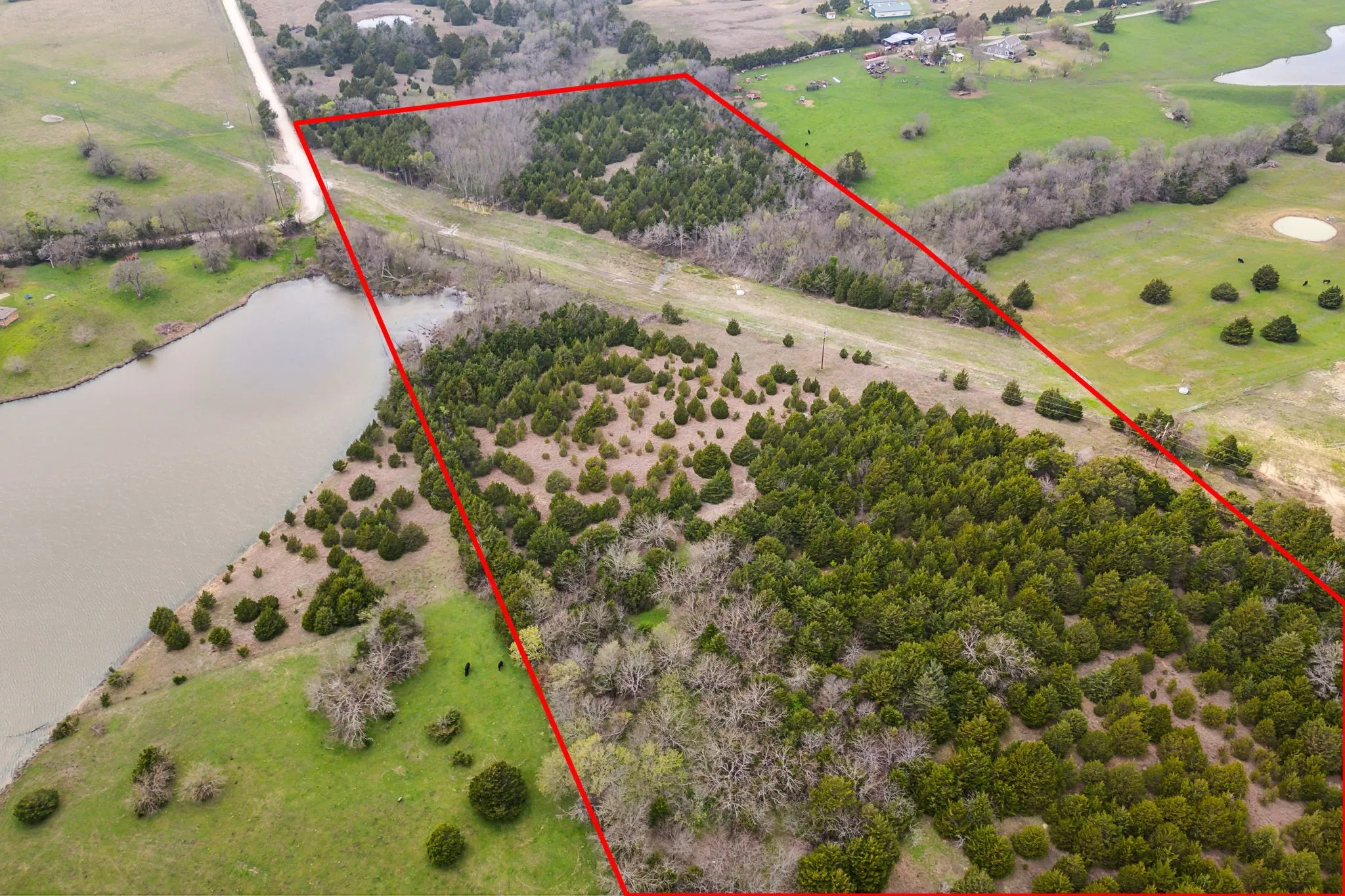 Unimproved Land For Sale in Collin County , 25 acres County Road 672, Blue Ridge, Texas 75424, 0, 0, Garage spaces, 0 Sqft, built in 0, mls#21374548, Real Estate Agent in Blue Ridge, Homes For Sale in Collin county, Homes For Sale in Blue Ridge, Realtor in Blue Ridge Texas, Real Estate Brokerage Independent Realty Texas, Luminita Cordes Realtor