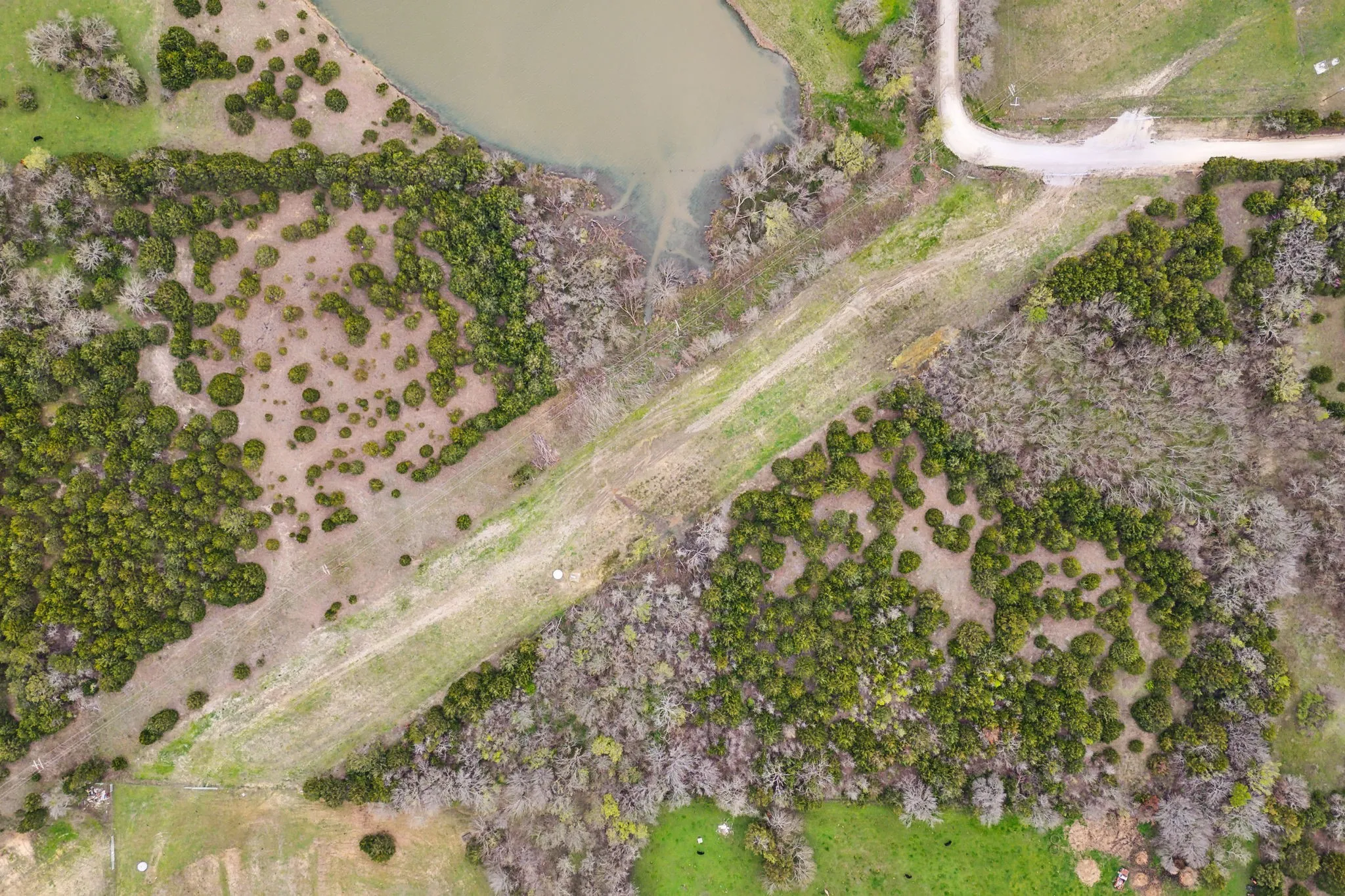 Unimproved Land For Sale in Collin County , 25 acres County Road 672, Blue Ridge, Texas 75424, 0, 0, Garage spaces, 0 Sqft, built in 0, mls#21374548, Real Estate Agent in Blue Ridge, Homes For Sale in Collin county, Homes For Sale in Blue Ridge, Realtor in Blue Ridge Texas, Real Estate Brokerage Independent Realty Texas, Luminita Cordes Realtor