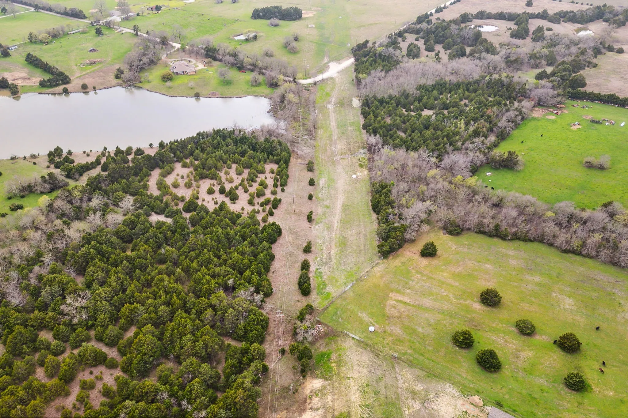Unimproved Land For Sale in Collin County , 25 acres County Road 672, Blue Ridge, Texas 75424, 0, 0, Garage spaces, 0 Sqft, built in 0, mls#21374548, Real Estate Agent in Blue Ridge, Homes For Sale in Collin county, Homes For Sale in Blue Ridge, Realtor in Blue Ridge Texas, Real Estate Brokerage Independent Realty Texas, Luminita Cordes Realtor