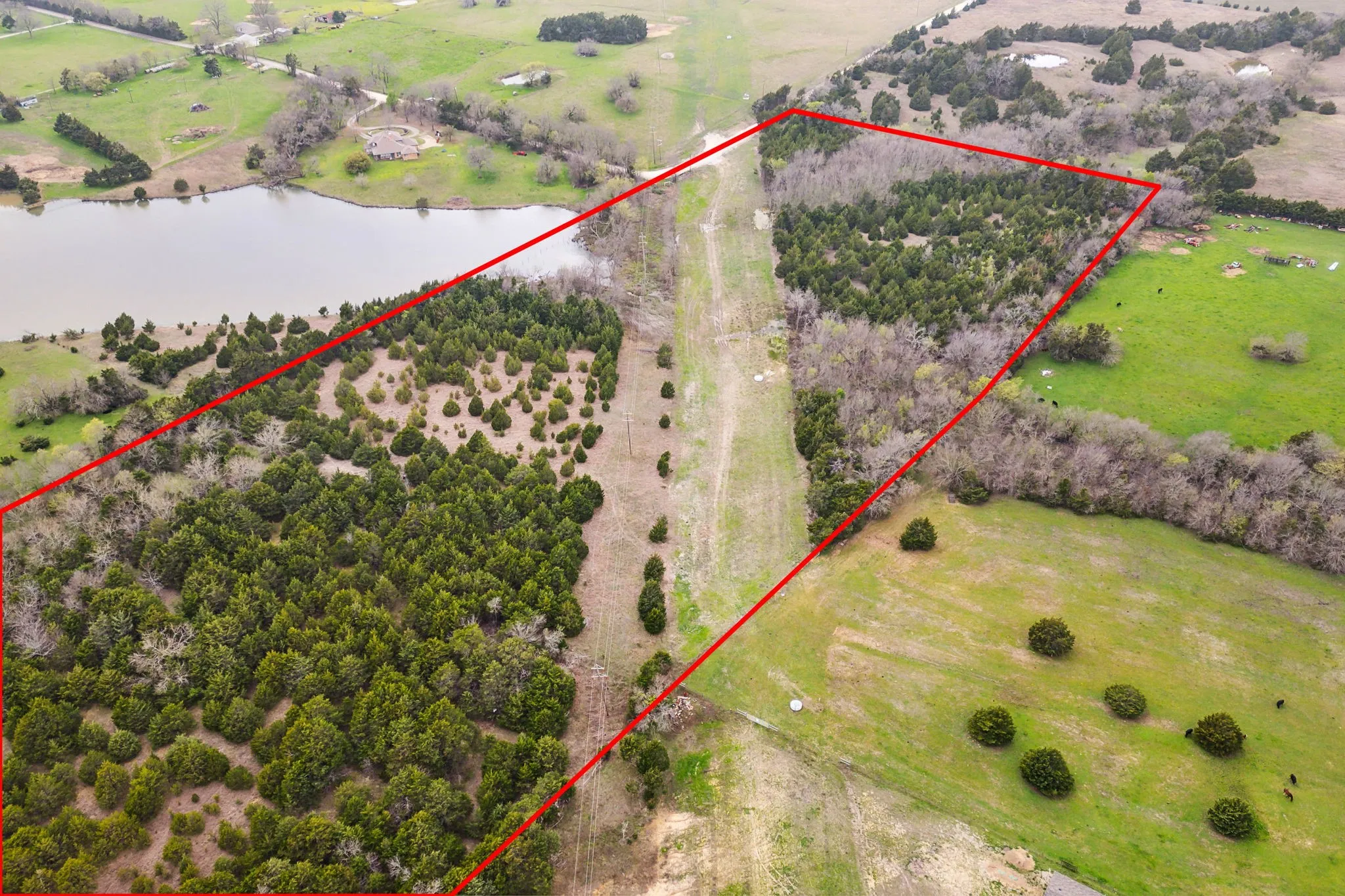 Unimproved Land For Sale in Collin County , 25 acres County Road 672, Blue Ridge, Texas 75424, 0, 0, Garage spaces, 0 Sqft, built in 0, mls#21374548, Real Estate Agent in Blue Ridge, Homes For Sale in Collin county, Homes For Sale in Blue Ridge, Realtor in Blue Ridge Texas, Real Estate Brokerage Independent Realty Texas, Luminita Cordes Realtor