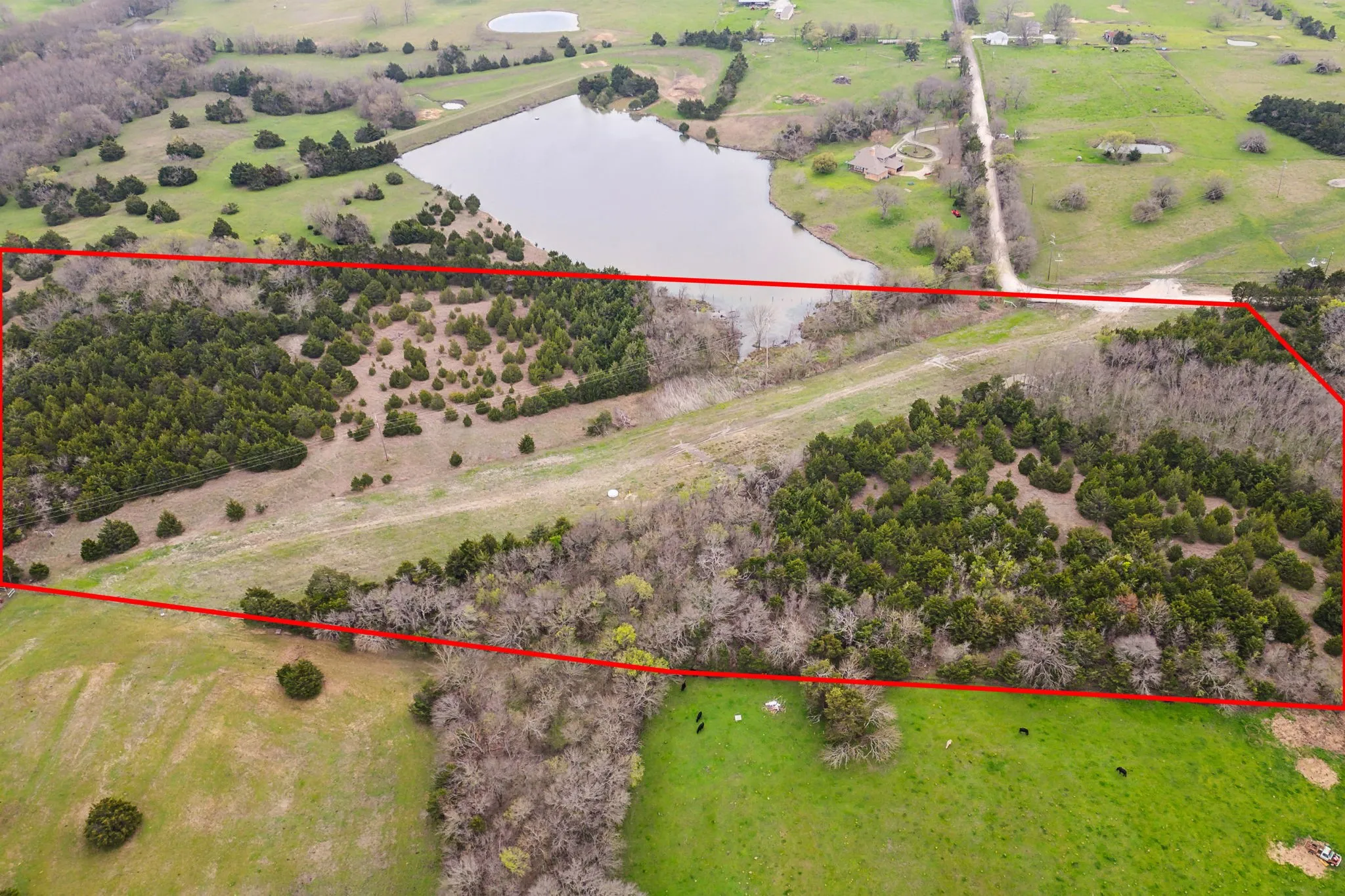 Unimproved Land For Sale in Collin County , 25 acres County Road 672, Blue Ridge, Texas 75424, 0, 0, Garage spaces, 0 Sqft, built in 0, mls#21374548, Real Estate Agent in Blue Ridge, Homes For Sale in Collin county, Homes For Sale in Blue Ridge, Realtor in Blue Ridge Texas, Real Estate Brokerage Independent Realty Texas, Luminita Cordes Realtor