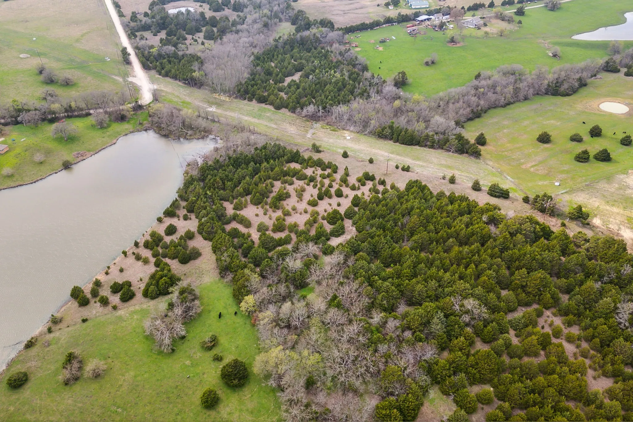 Unimproved Land For Sale in Collin County , 25 acres County Road 672, Blue Ridge, Texas 75424, 0, 0, Garage spaces, 0 Sqft, built in 0, mls#21374548, Real Estate Agent in Blue Ridge, Homes For Sale in Collin county, Homes For Sale in Blue Ridge, Realtor in Blue Ridge Texas, Real Estate Brokerage Independent Realty Texas, Luminita Cordes Realtor