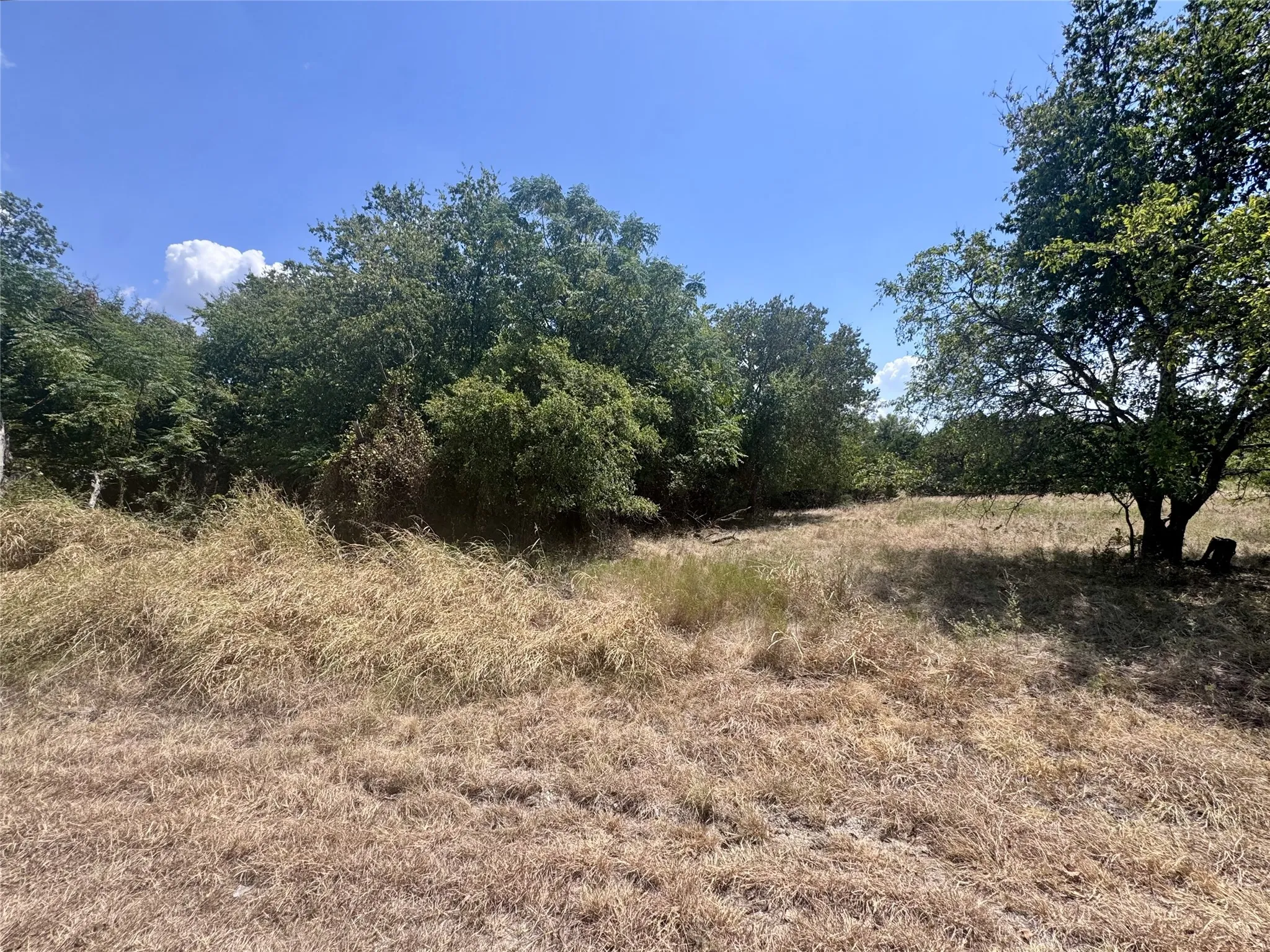 Improved Land For Sale in Hill County , 32028 Dove Trail, Whitney, Texas 76692, 0, 0, Garage spaces, 0 Sqft, built in 0, mls#21374533, Real Estate Agent in Whitney, Homes For Sale in Hill county, Homes For Sale in Whitney, Realtor in Whitney Texas, Real Estate Brokerage Independent Realty Texas, Luminita Cordes Realtor