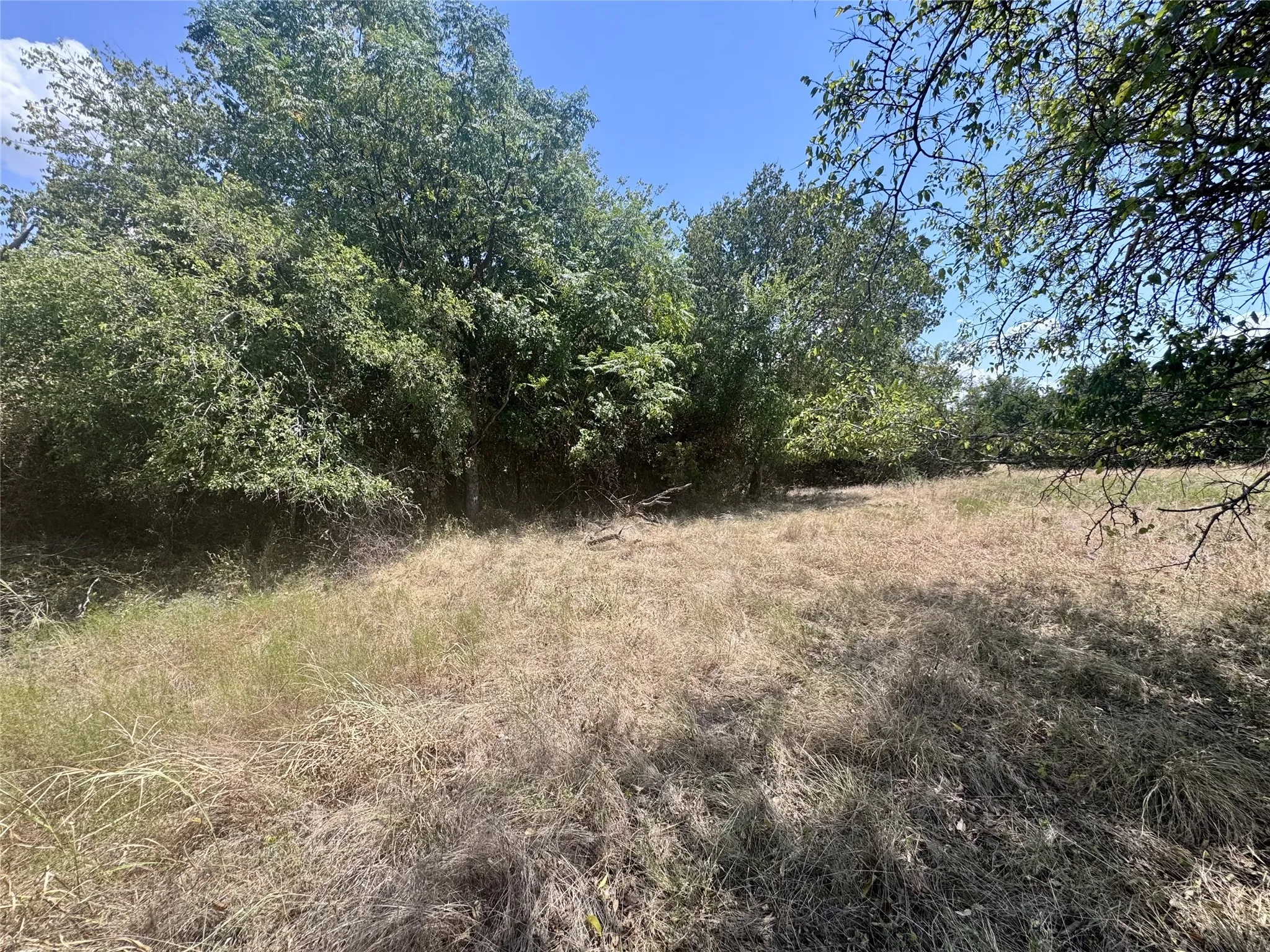 Improved Land For Sale in Hill County , 32028 Dove Trail, Whitney, Texas 76692, 0, 0, Garage spaces, 0 Sqft, built in 0, mls#21374533, Real Estate Agent in Whitney, Homes For Sale in Hill county, Homes For Sale in Whitney, Realtor in Whitney Texas, Real Estate Brokerage Independent Realty Texas, Luminita Cordes Realtor
