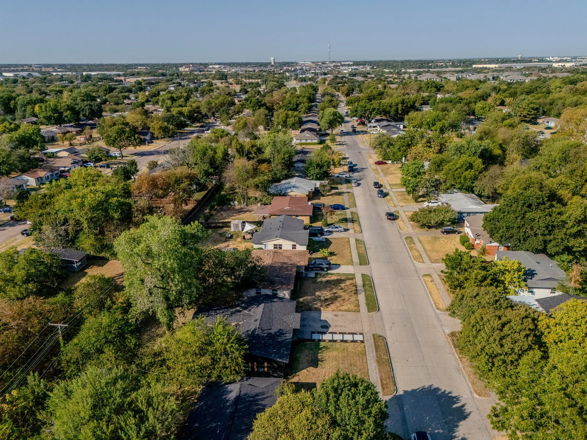 Residential street with mature tree canopy