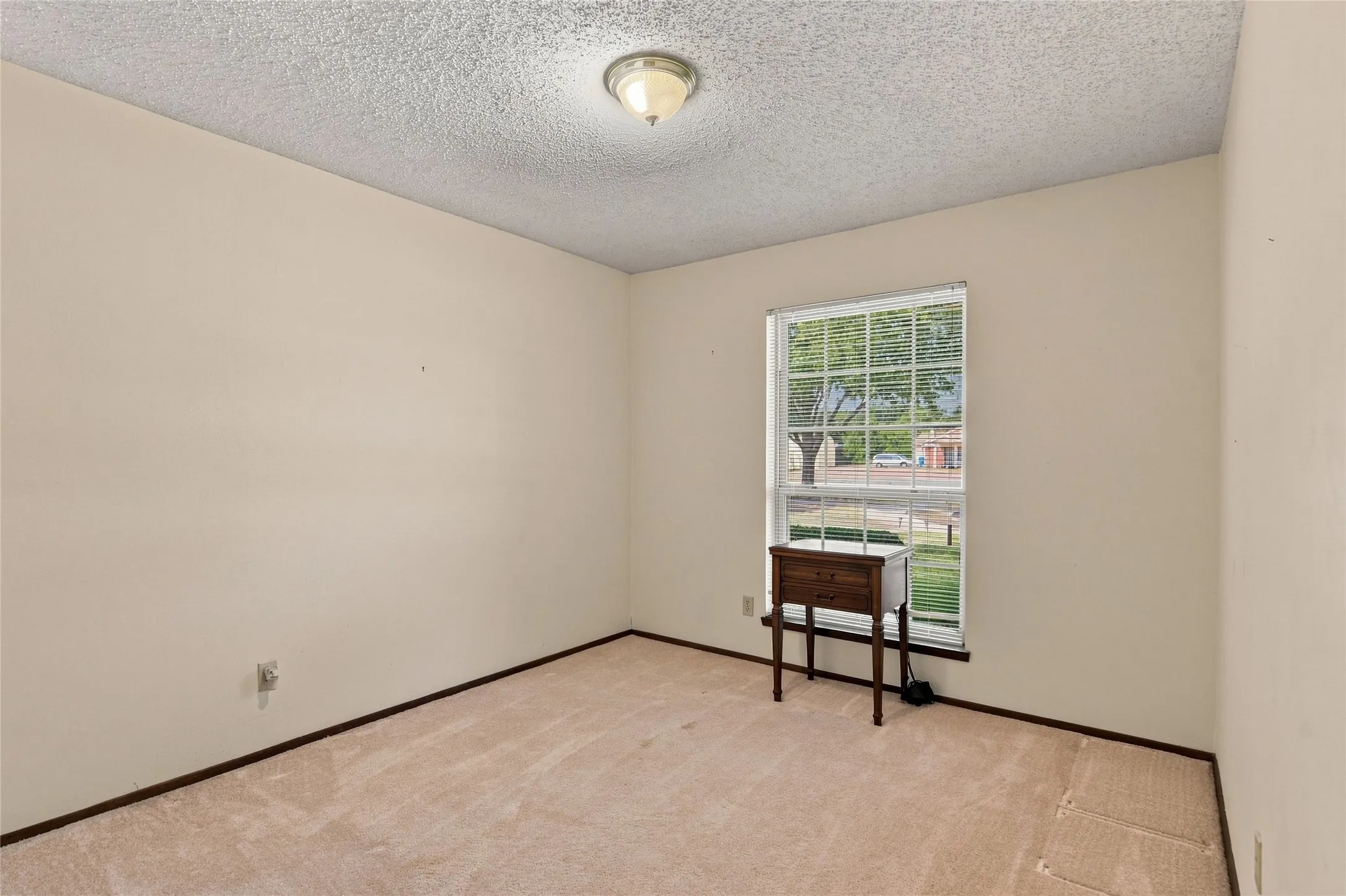 Neutral tone wall color, window with white blinds, carpet flooring, and a ceiling-mounted light fixture