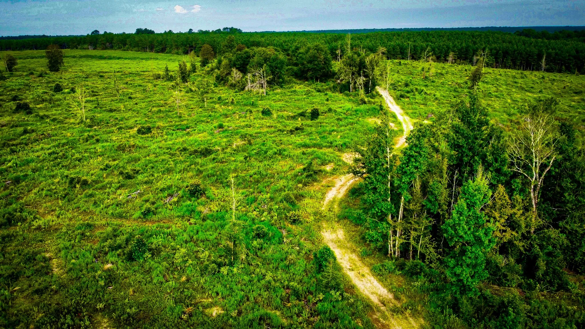 Ranch For Sale in Polk County , TBD Segno Fire Lane, Livingston, Texas 77371, 0, 0, Garage spaces, 0 Sqft, built in 0, mls#21374576, Real Estate Agent in Livingston, Homes For Sale in Polk county, Homes For Sale in Livingston, Realtor in Livingston Texas, Real Estate Brokerage Independent Realty Texas, Luminita Cordes Realtor