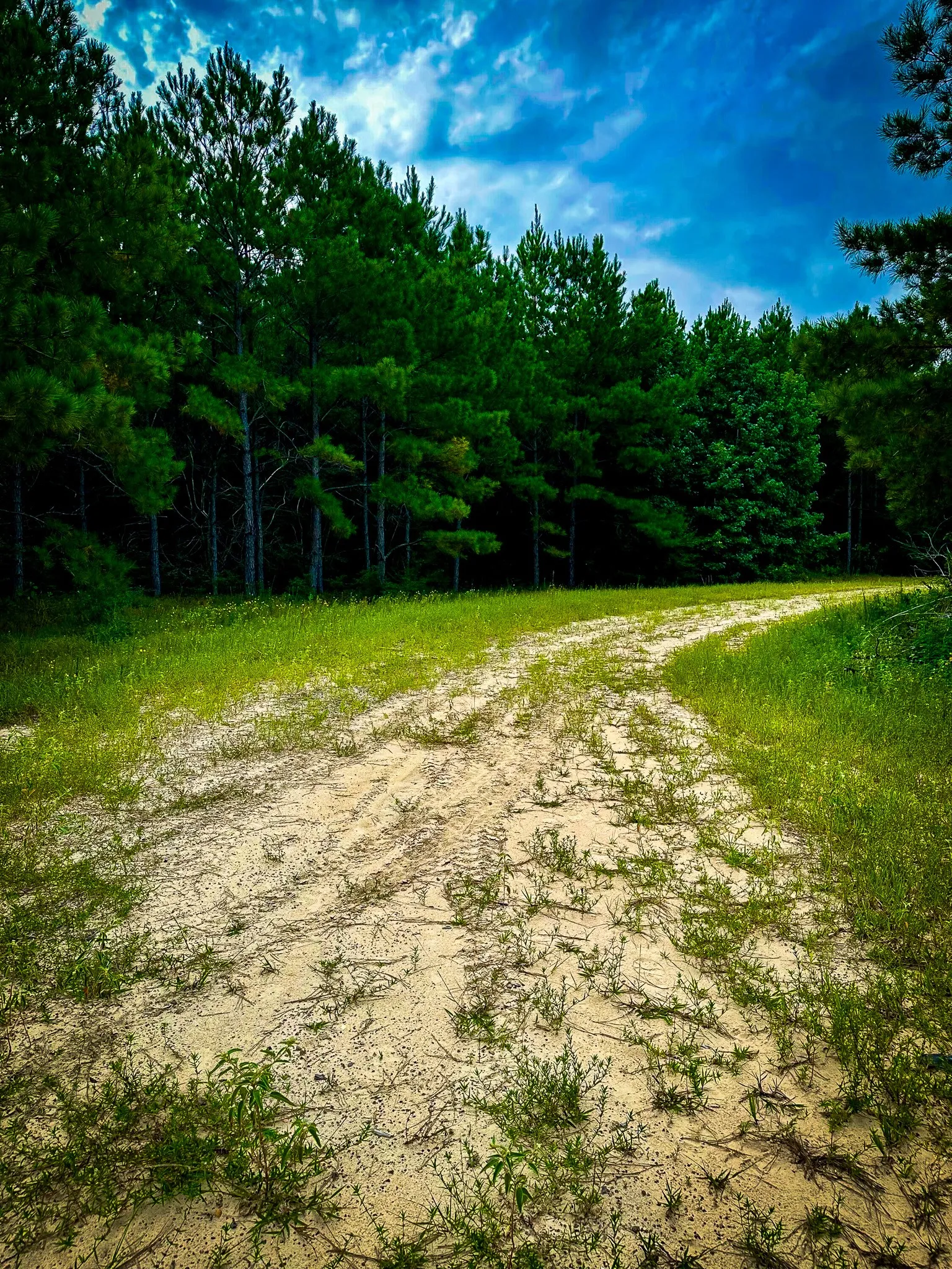 Ranch For Sale in Polk County , TBD Segno Fire Lane, Livingston, Texas 77371, 0, 0, Garage spaces, 0 Sqft, built in 0, mls#21374576, Real Estate Agent in Livingston, Homes For Sale in Polk county, Homes For Sale in Livingston, Realtor in Livingston Texas, Real Estate Brokerage Independent Realty Texas, Luminita Cordes Realtor