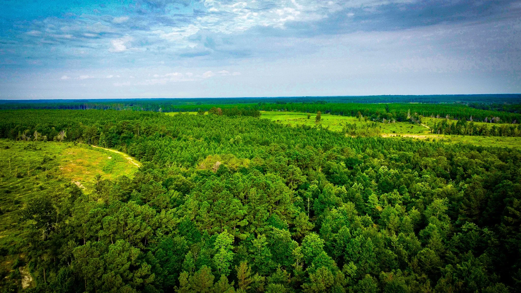 Ranch For Sale in Polk County , TBD Segno Fire Lane, Livingston, Texas 77371, 0, 0, Garage spaces, 0 Sqft, built in 0, mls#21374576, Real Estate Agent in Livingston, Homes For Sale in Polk county, Homes For Sale in Livingston, Realtor in Livingston Texas, Real Estate Brokerage Independent Realty Texas, Luminita Cordes Realtor