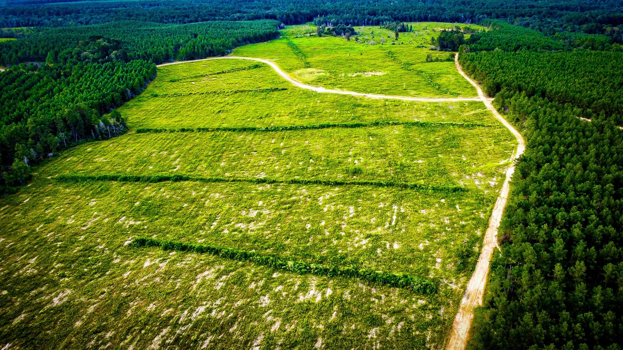 Ranch For Sale in Polk County , TBD Segno Fire Lane, Livingston, Texas 77371, 0, 0, Garage spaces, 0 Sqft, built in 0, mls#21374576, Real Estate Agent in Livingston, Homes For Sale in Polk county, Homes For Sale in Livingston, Realtor in Livingston Texas, Real Estate Brokerage Independent Realty Texas, Luminita Cordes Realtor