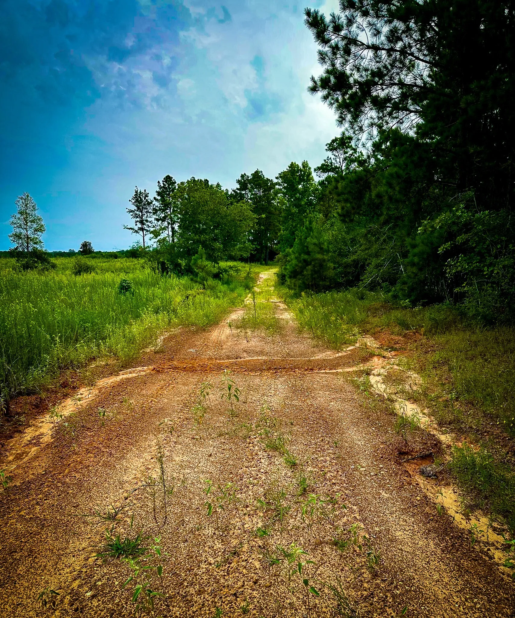 Ranch For Sale in Polk County , TBD Segno Fire Lane, Livingston, Texas 77371, 0, 0, Garage spaces, 0 Sqft, built in 0, mls#21374576, Real Estate Agent in Livingston, Homes For Sale in Polk county, Homes For Sale in Livingston, Realtor in Livingston Texas, Real Estate Brokerage Independent Realty Texas, Luminita Cordes Realtor
