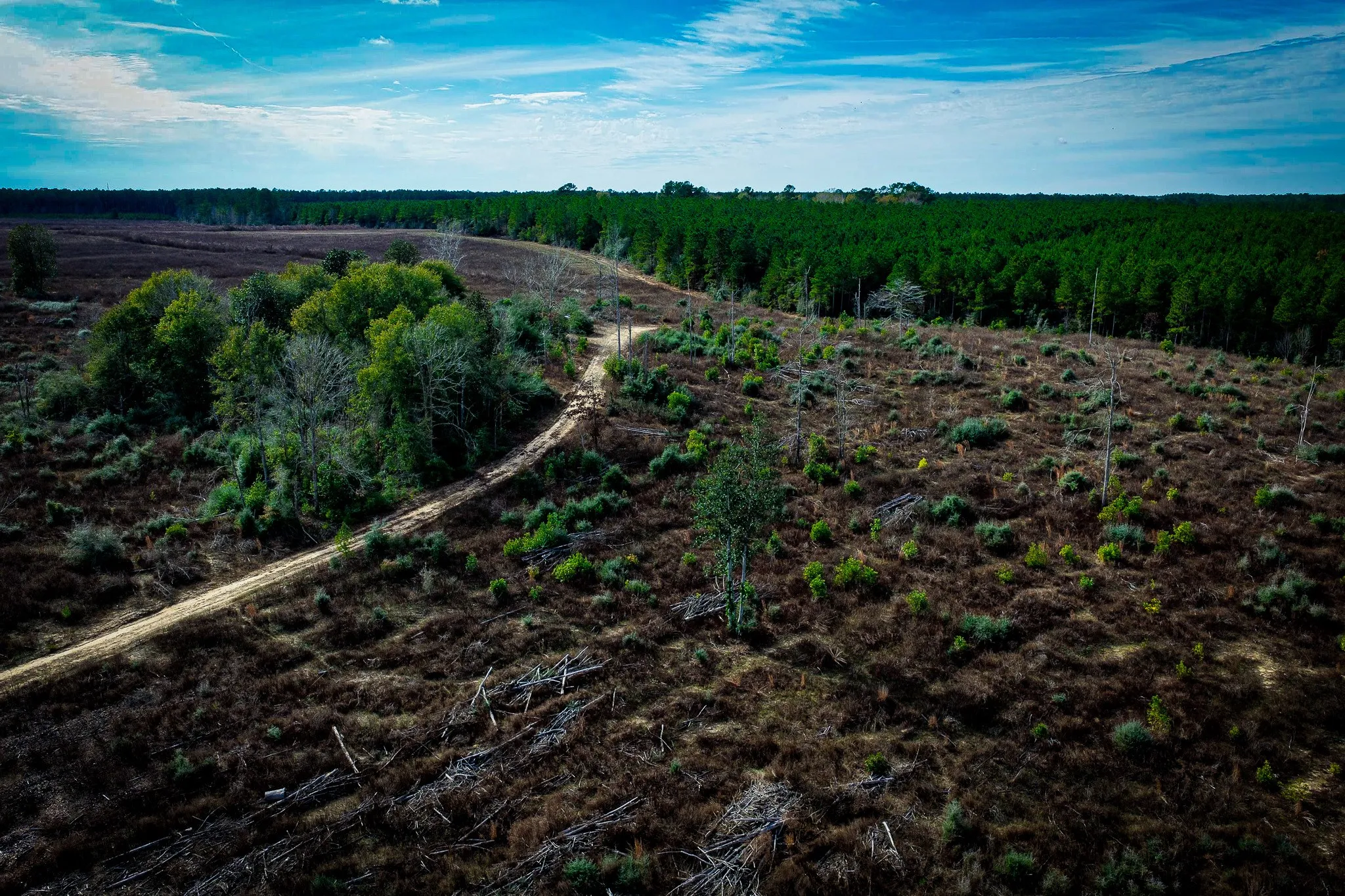 Ranch For Sale in Polk County , TBD Segno Fire Lane, Livingston, Texas 77371, 0, 0, Garage spaces, 0 Sqft, built in 0, mls#21374576, Real Estate Agent in Livingston, Homes For Sale in Polk county, Homes For Sale in Livingston, Realtor in Livingston Texas, Real Estate Brokerage Independent Realty Texas, Luminita Cordes Realtor