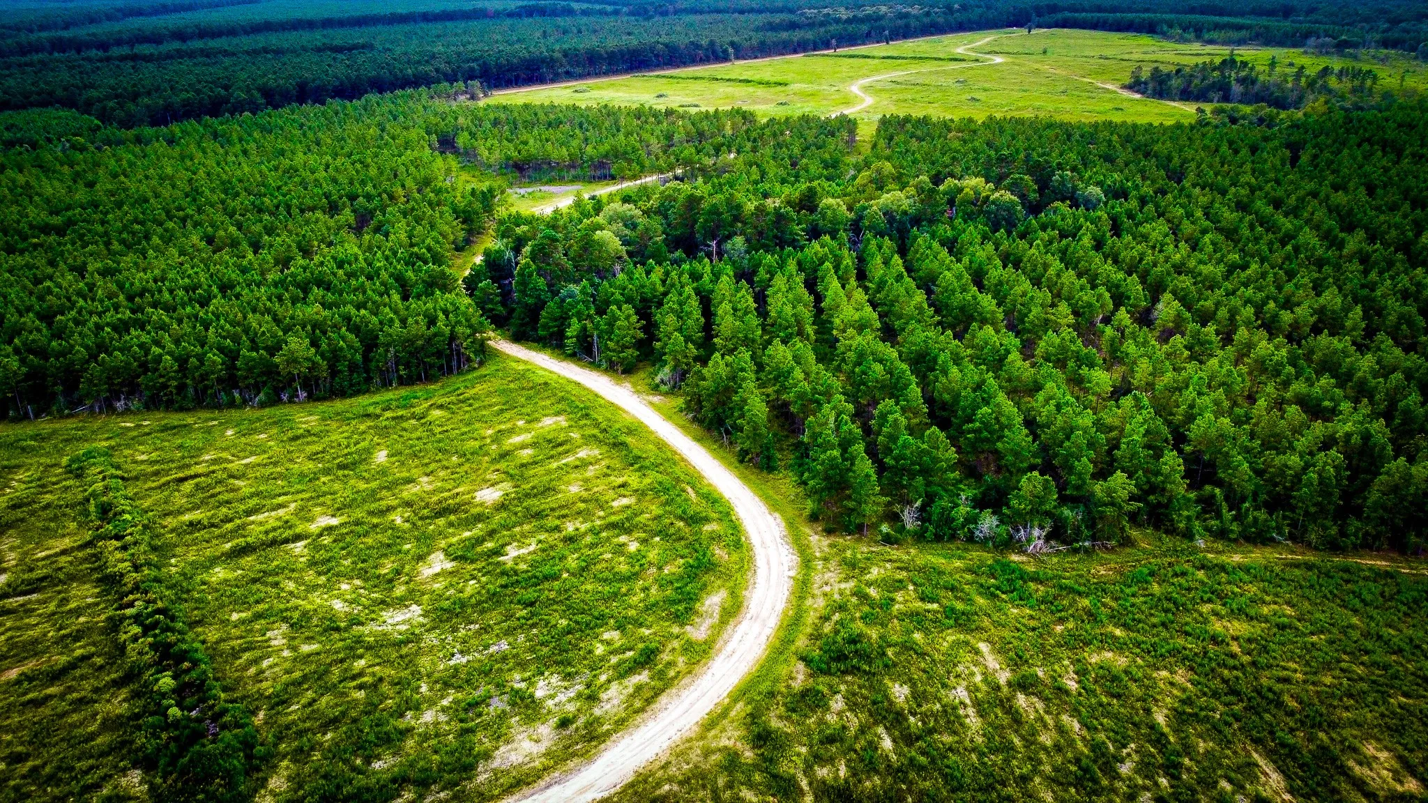 Ranch For Sale in Polk County , TBD Segno Fire Lane, Livingston, Texas 77371, 0, 0, Garage spaces, 0 Sqft, built in 0, mls#21374576, Real Estate Agent in Livingston, Homes For Sale in Polk county, Homes For Sale in Livingston, Realtor in Livingston Texas, Real Estate Brokerage Independent Realty Texas, Luminita Cordes Realtor