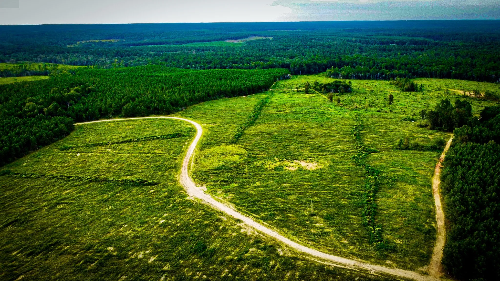 Ranch For Sale in Polk County , TBD Segno Fire Lane, Livingston, Texas 77371, 0, 0, Garage spaces, 0 Sqft, built in 0, mls#21374576, Real Estate Agent in Livingston, Homes For Sale in Polk county, Homes For Sale in Livingston, Realtor in Livingston Texas, Real Estate Brokerage Independent Realty Texas, Luminita Cordes Realtor